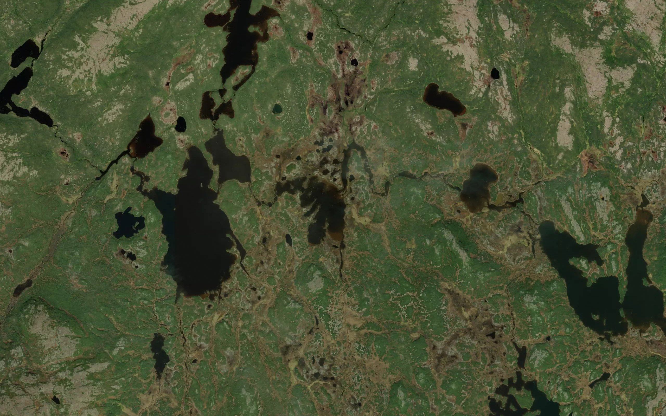 Lac Numerous