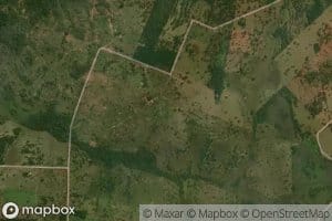 Corrego das Palmeiras