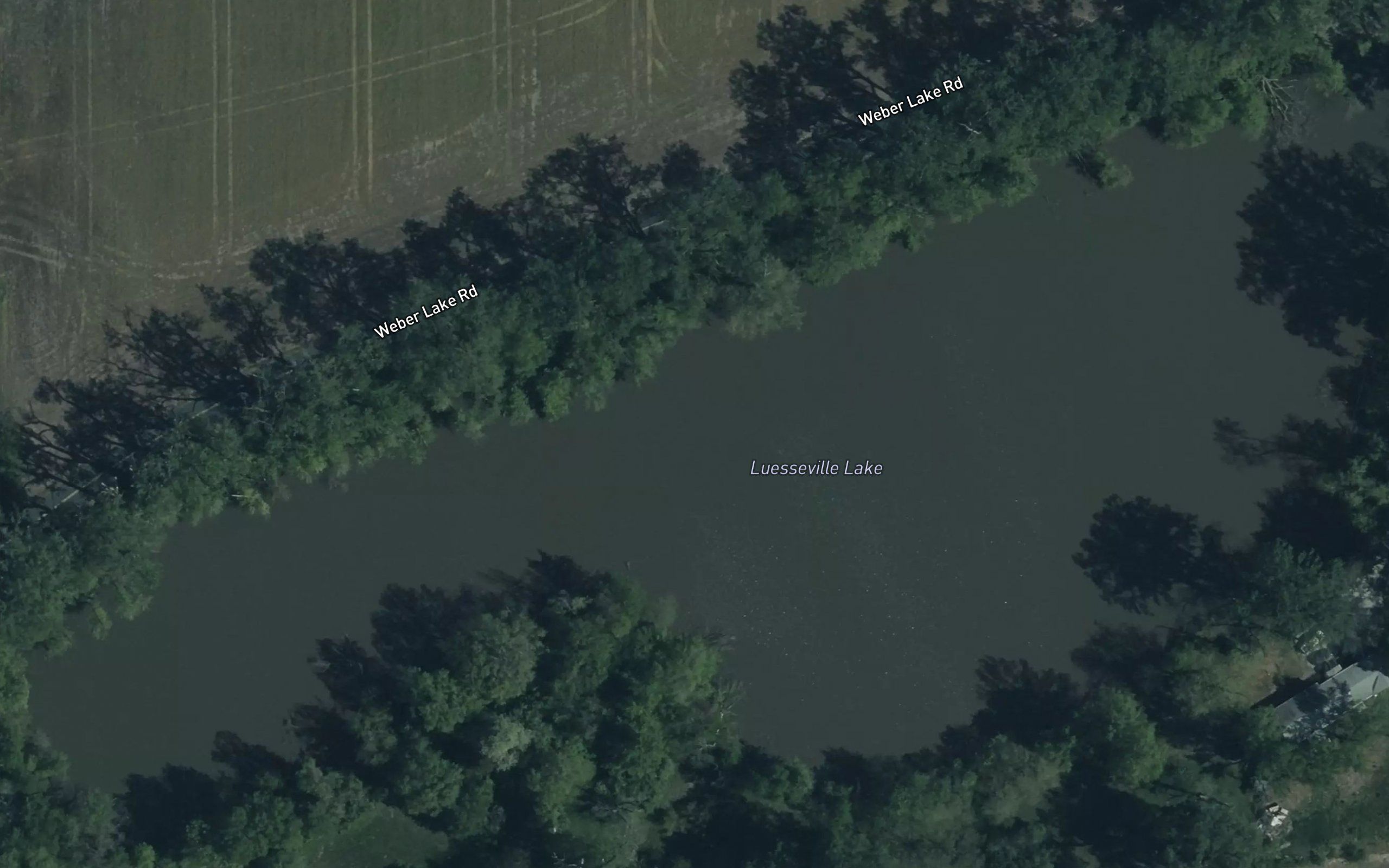 Luesseville Lake