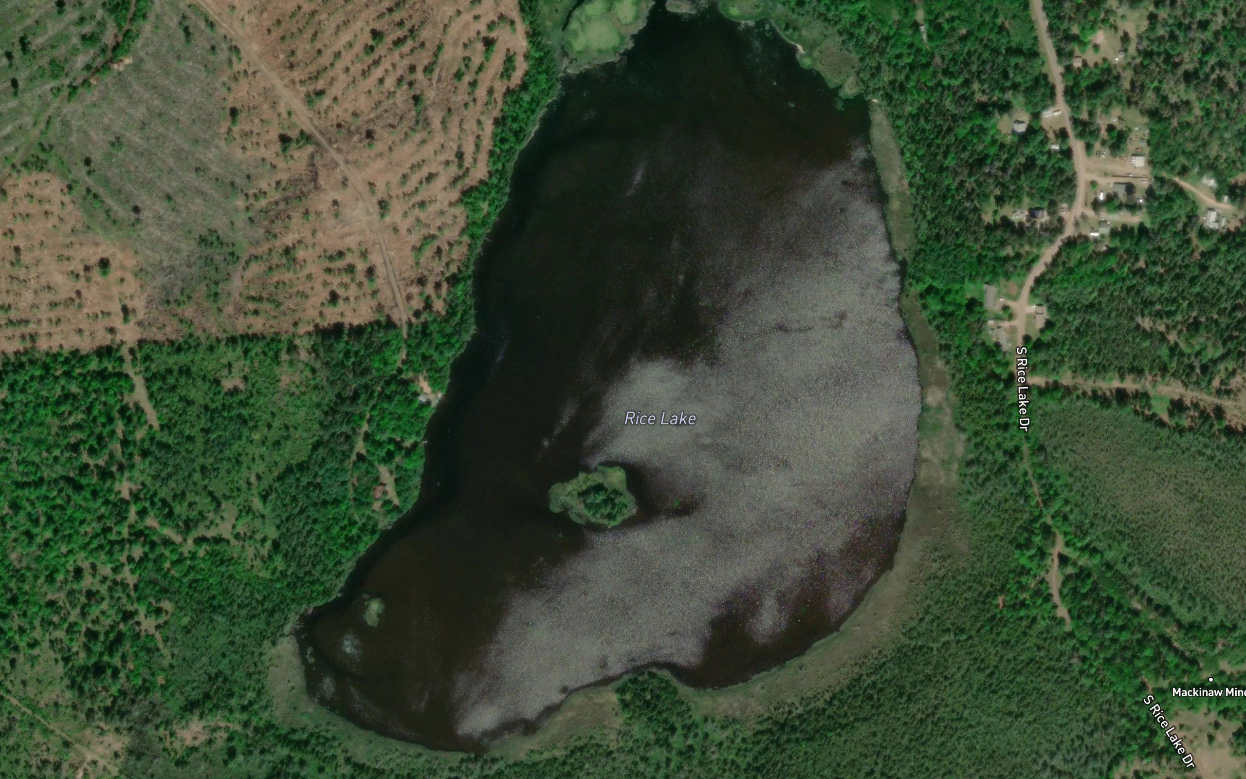 Rice Lake