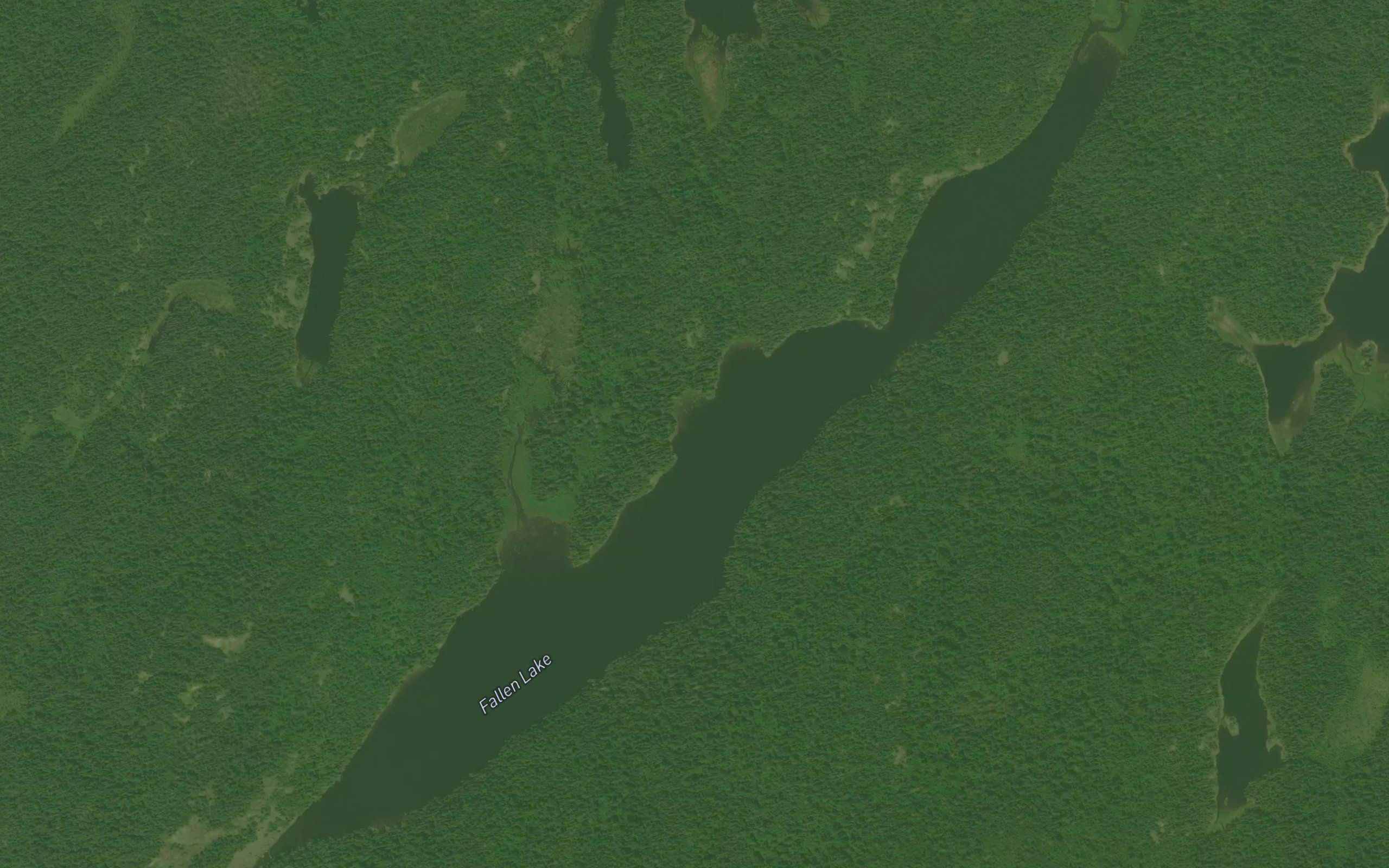 Fallen Lake