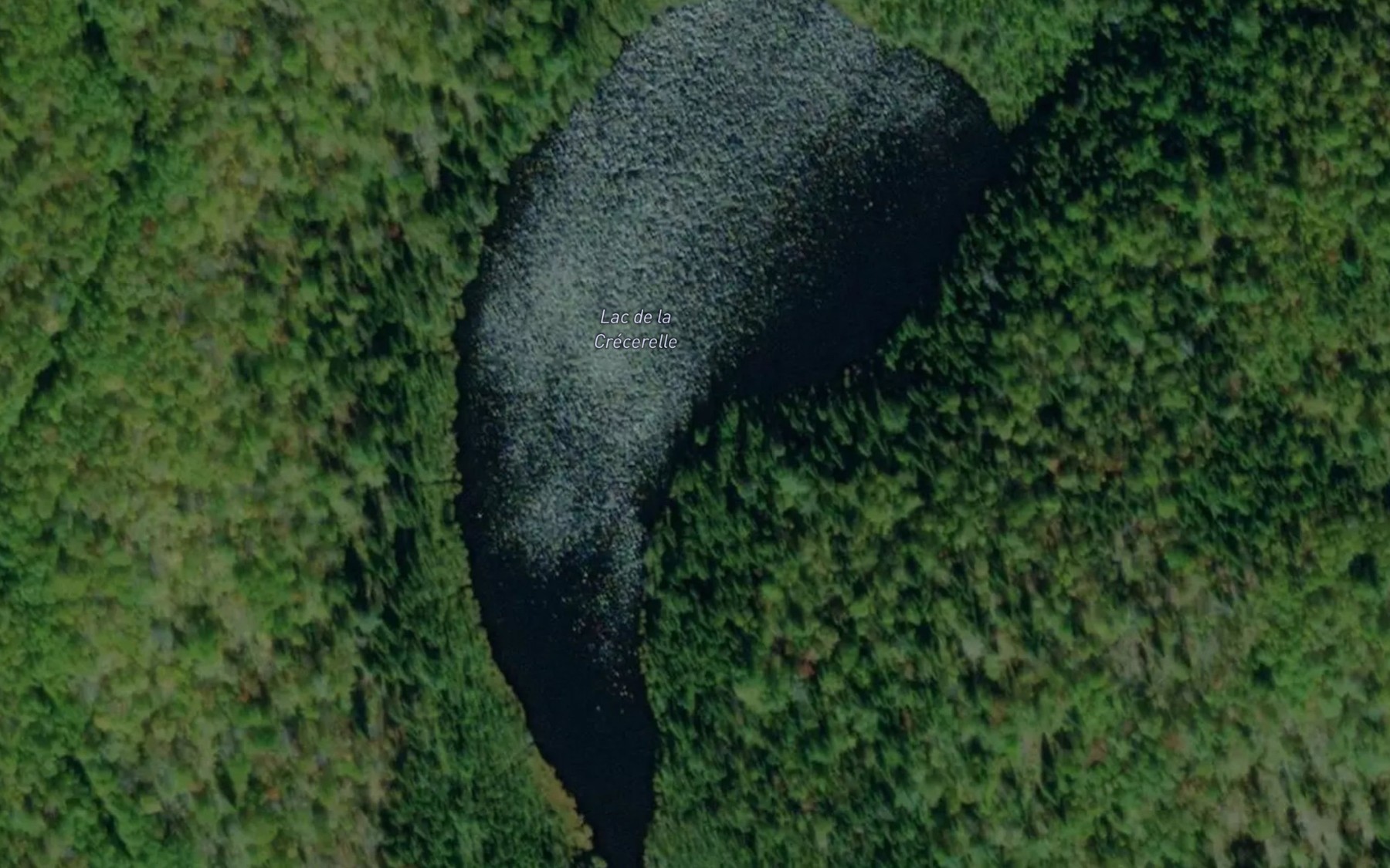 Satellite map of the Lac de la Crecerelle