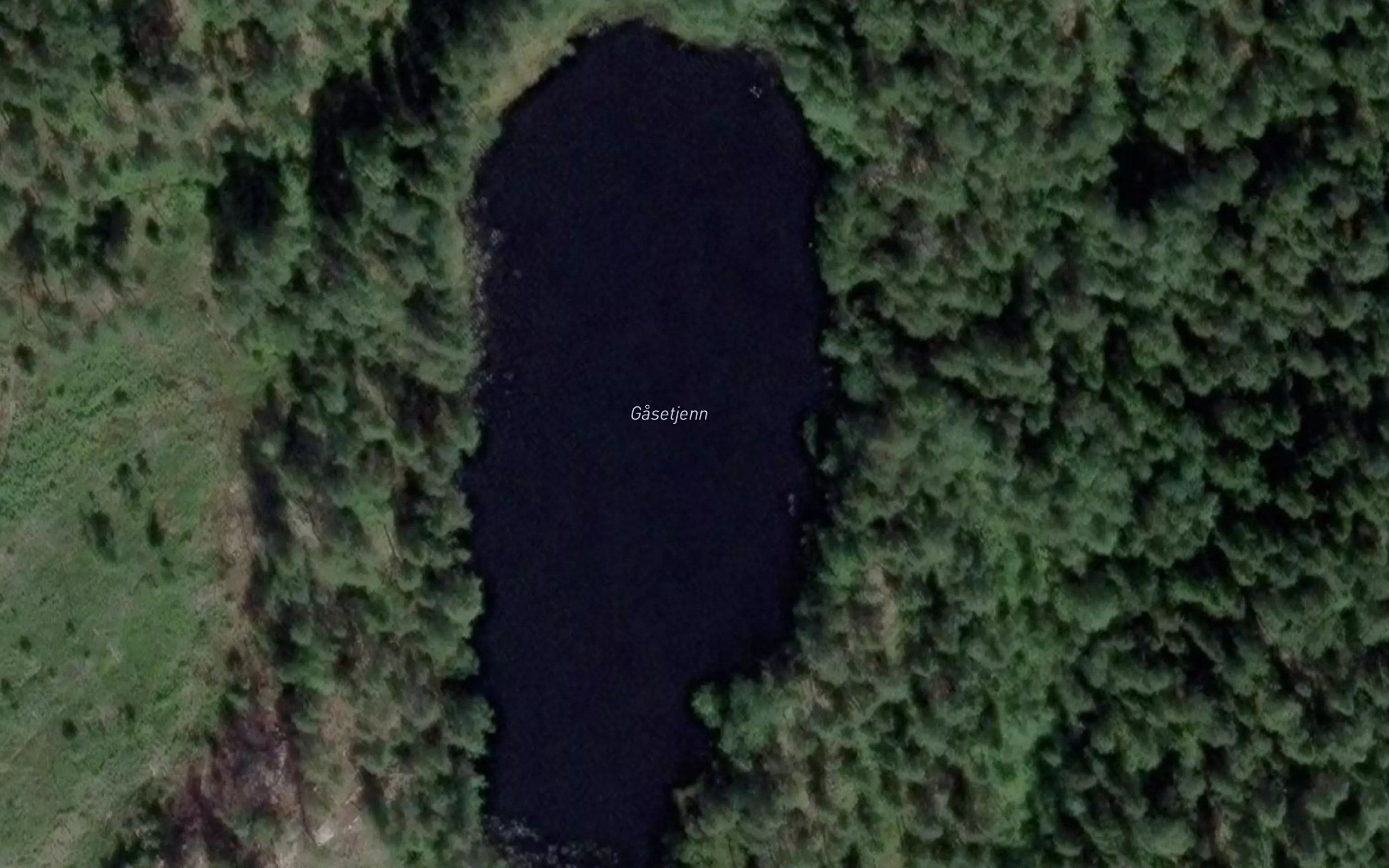 Gasetjern