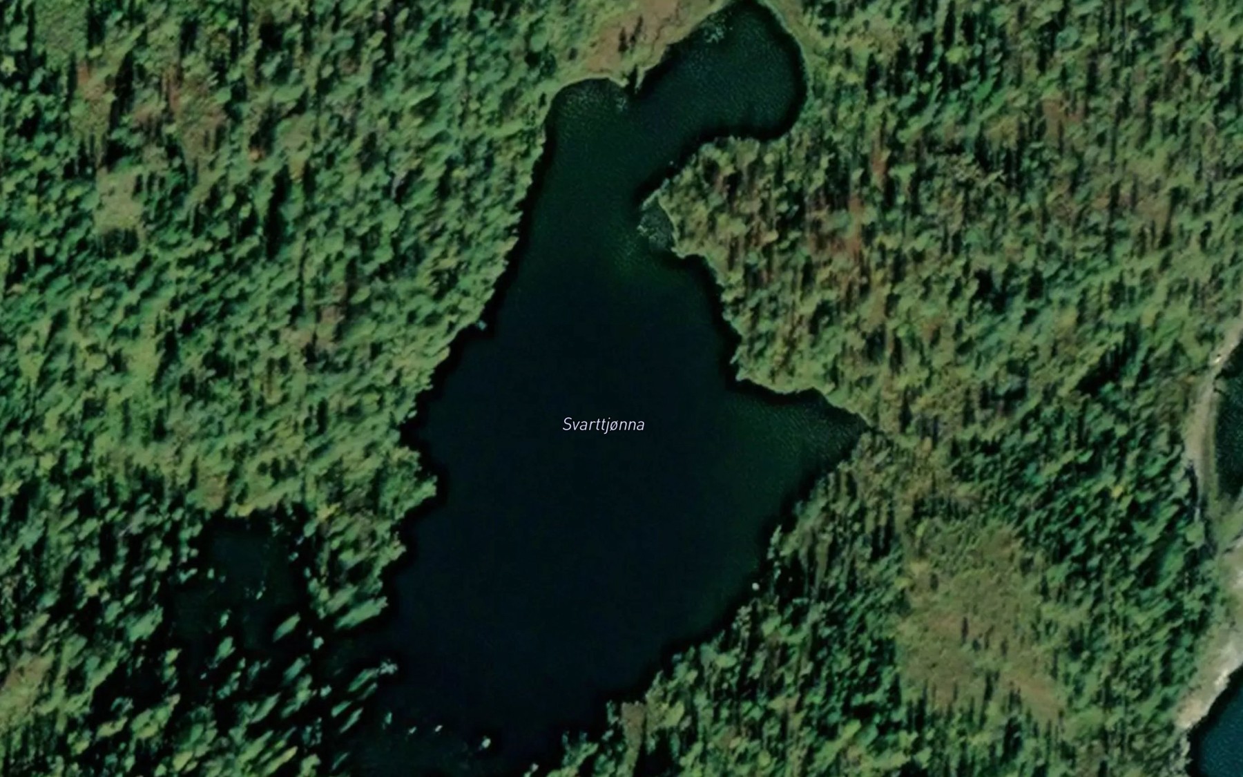 Satellite map of the Svarttjorna