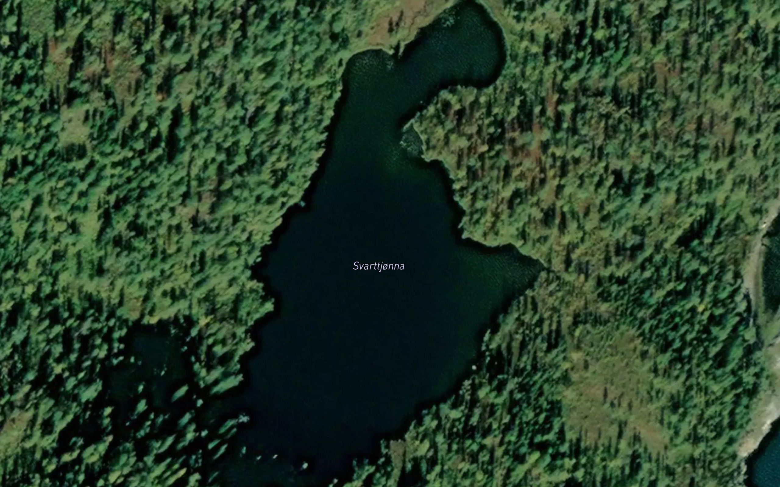 Svarttjorna
