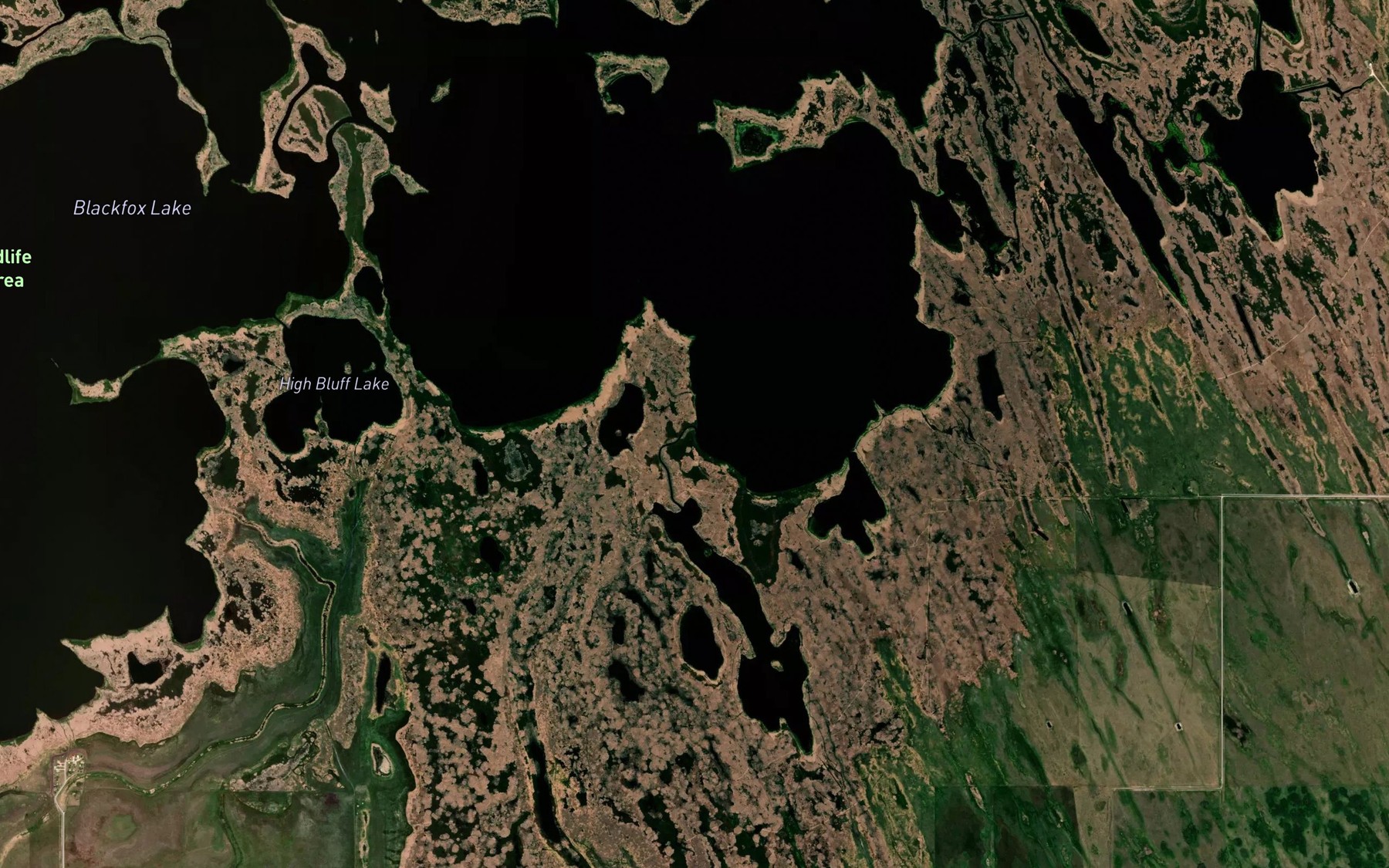 Satellite map of the Flee Island Creek