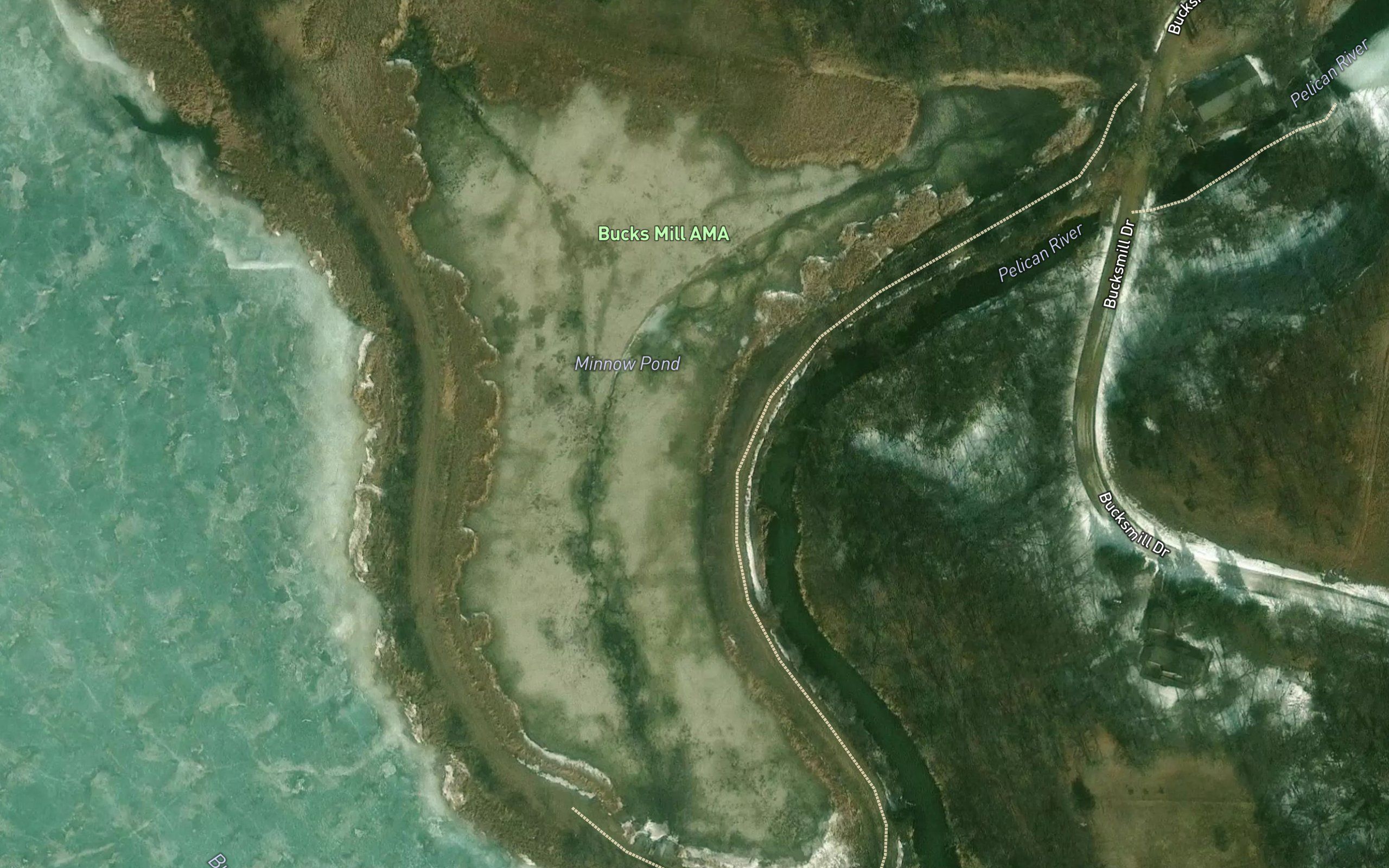 Minnow Pond