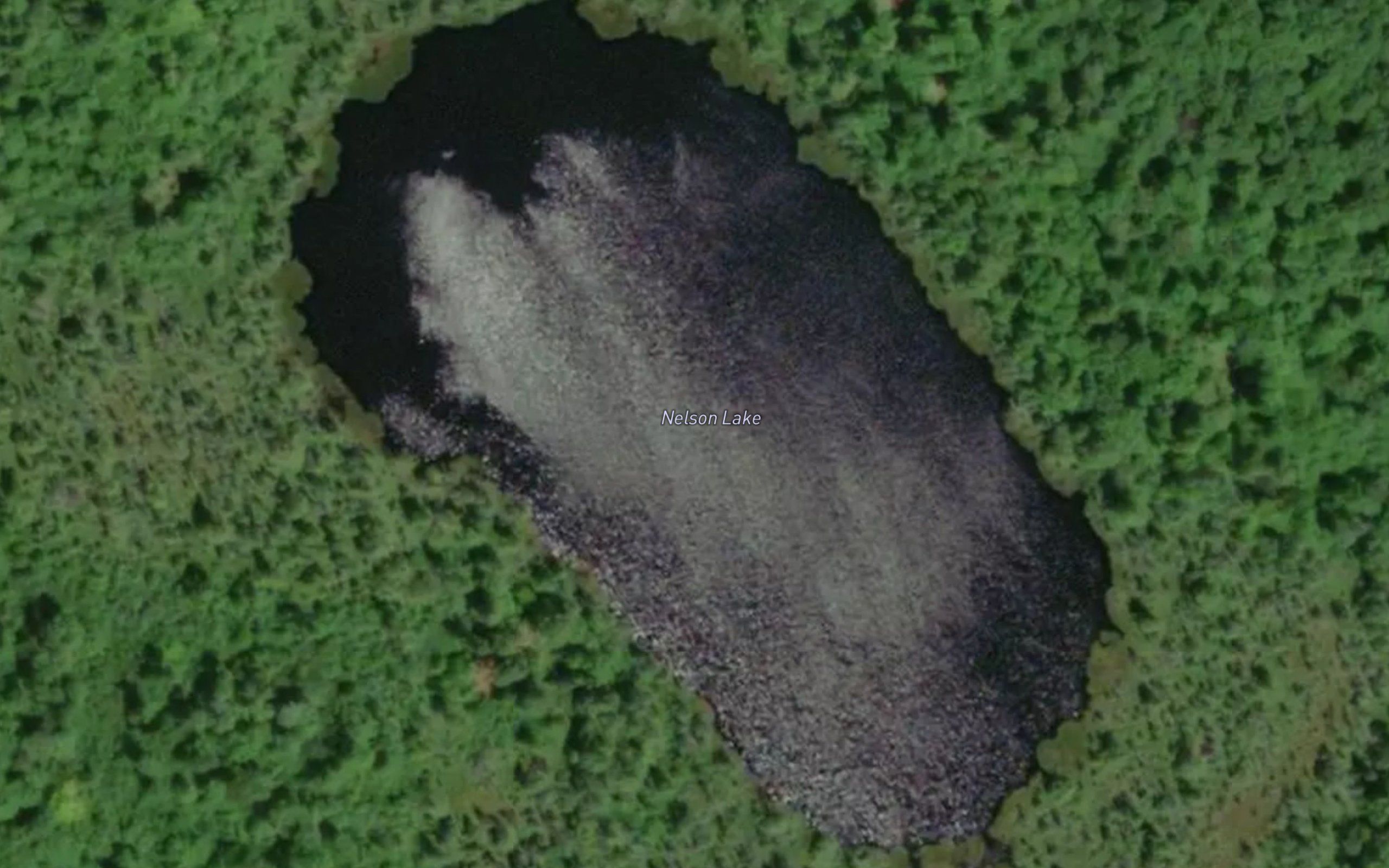 Nelson Lake
