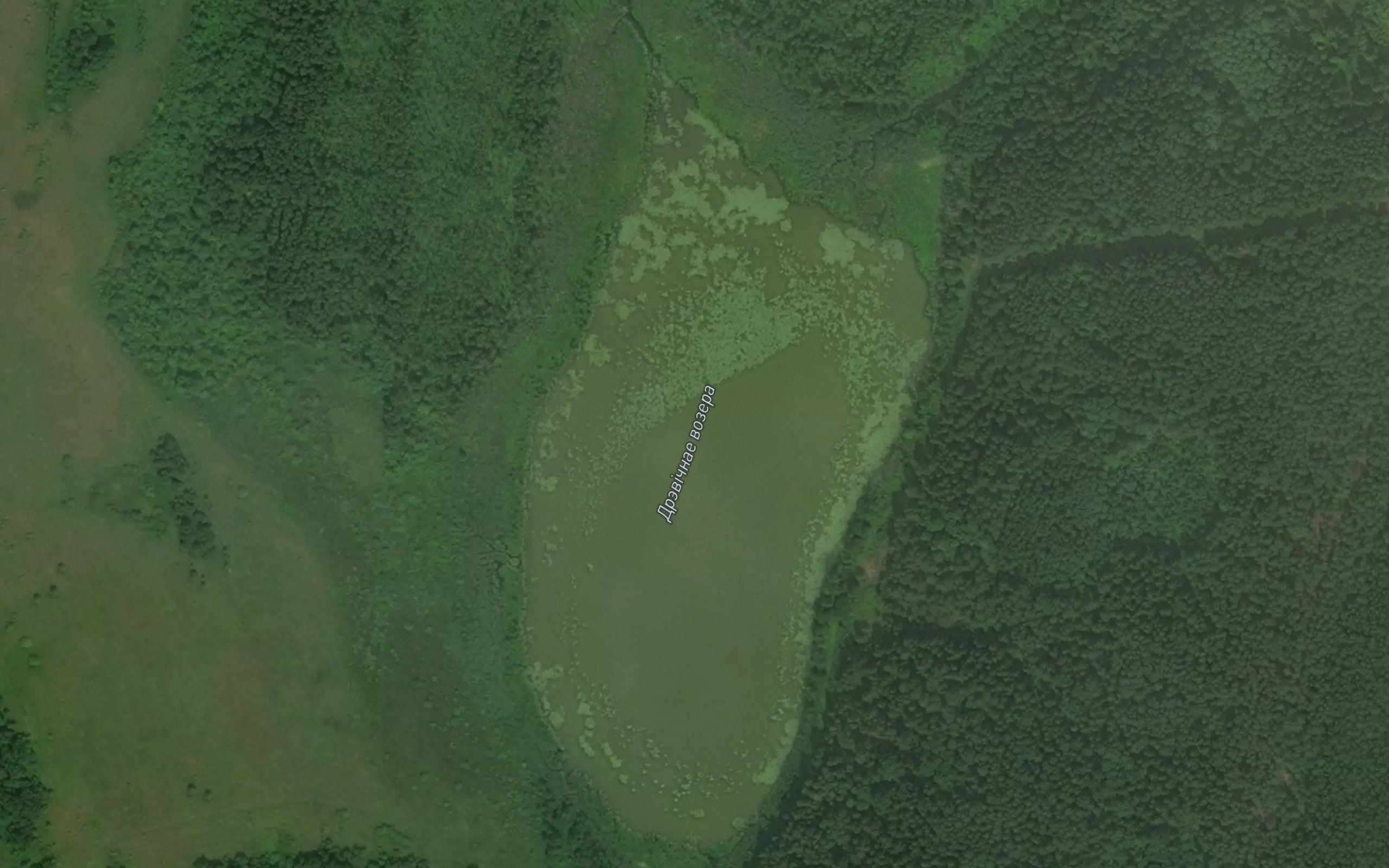 Ozero Drevichnoye