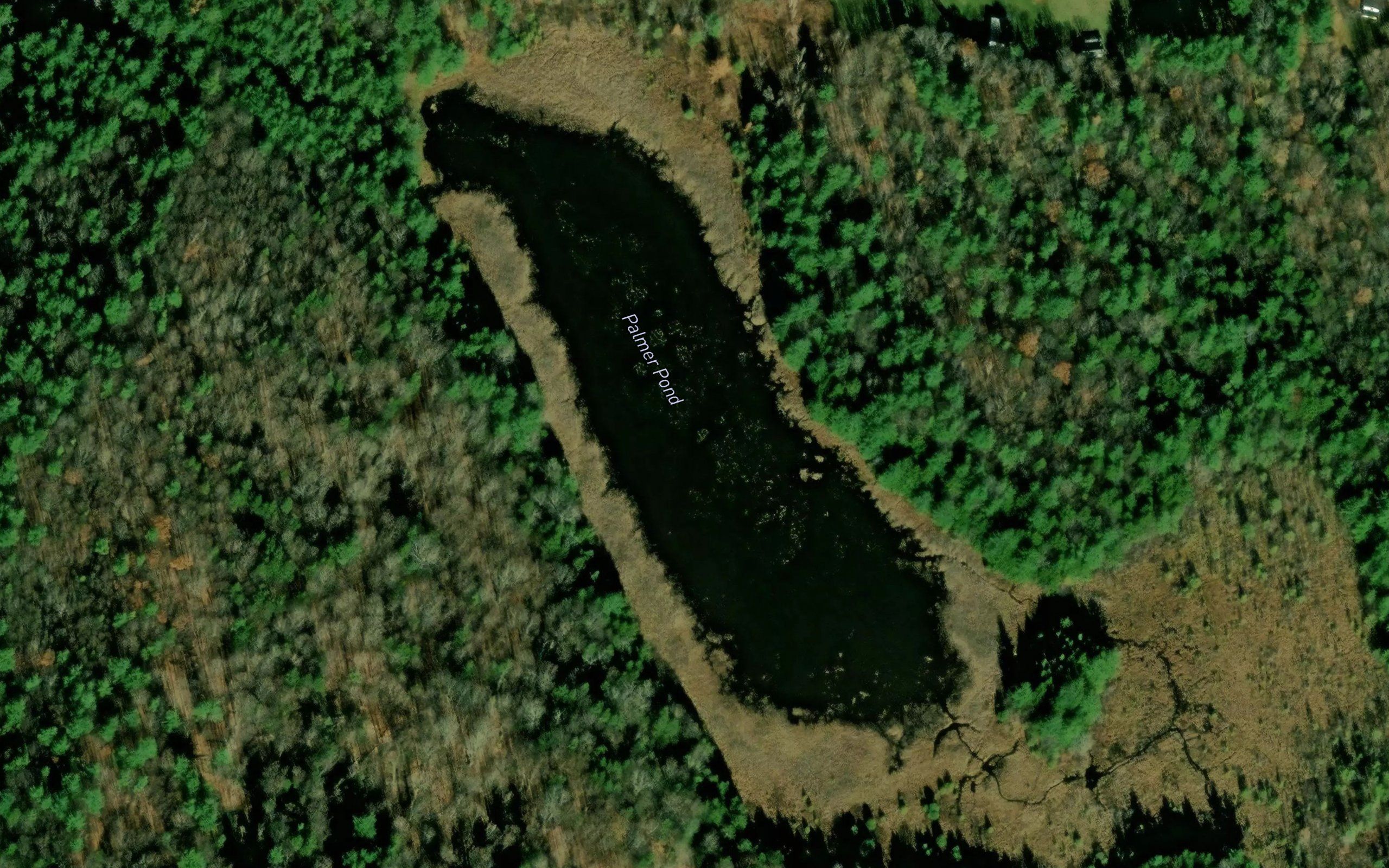 Palmer Pond
