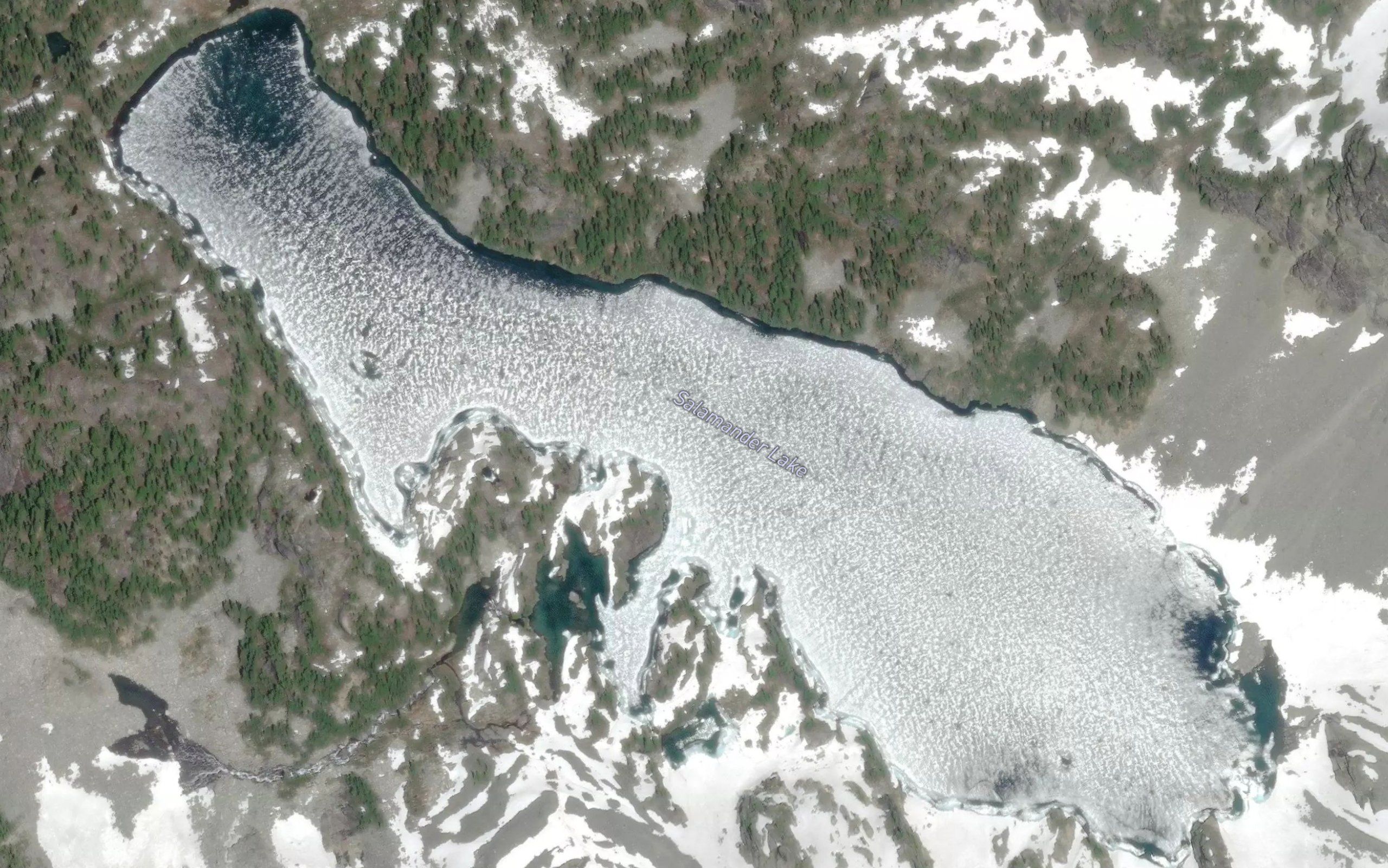 Salamander Lake