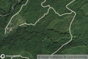 North Fork Swampy Creek