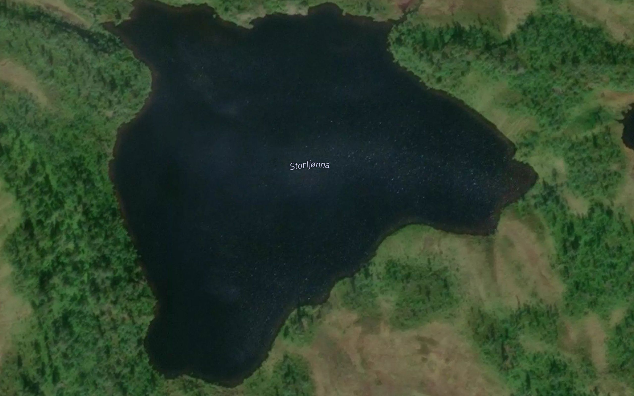 Stortjonna