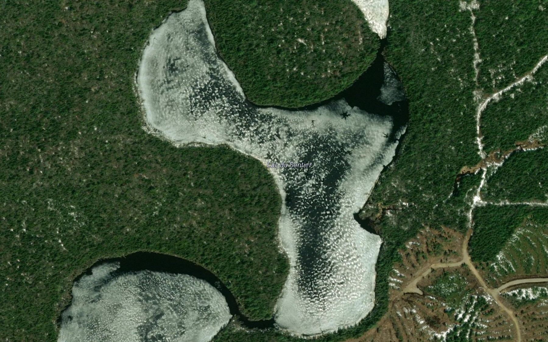 Satellite map of the Lac du Sentier