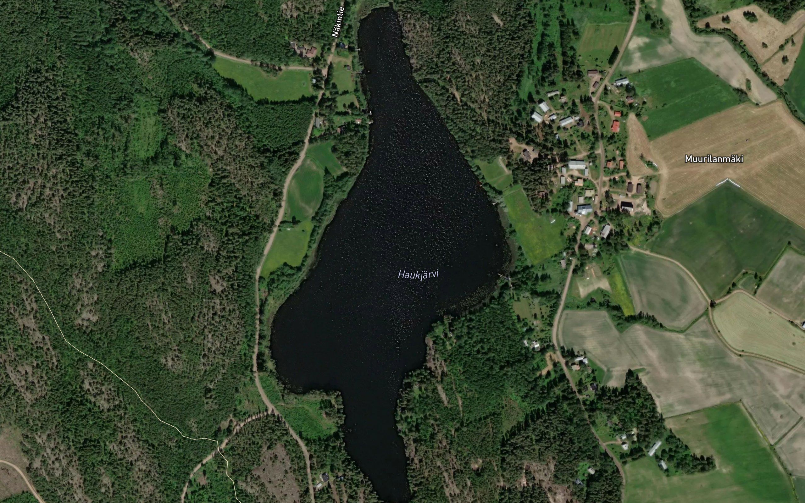 Haukjarvi