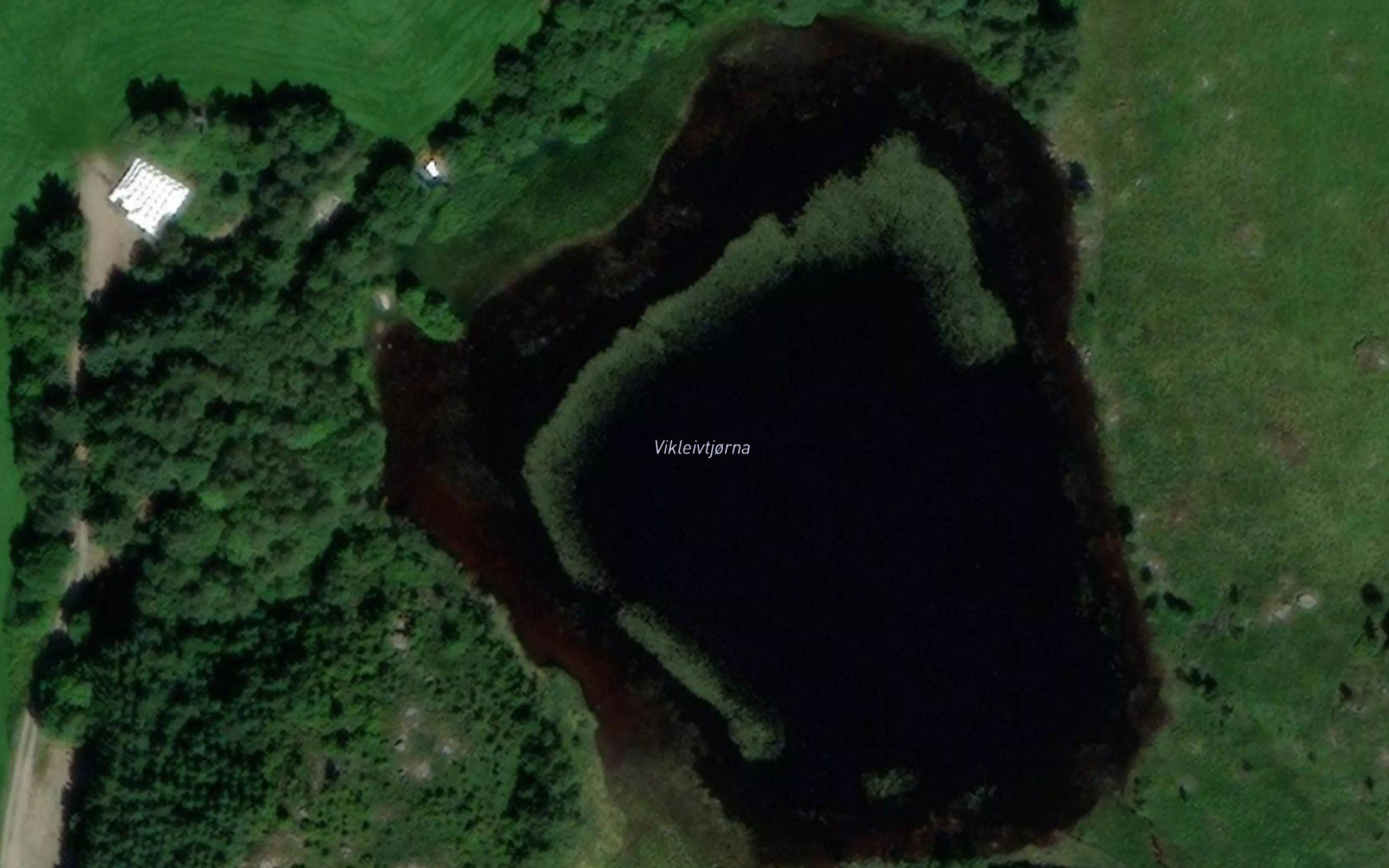 Vikleivtjorna