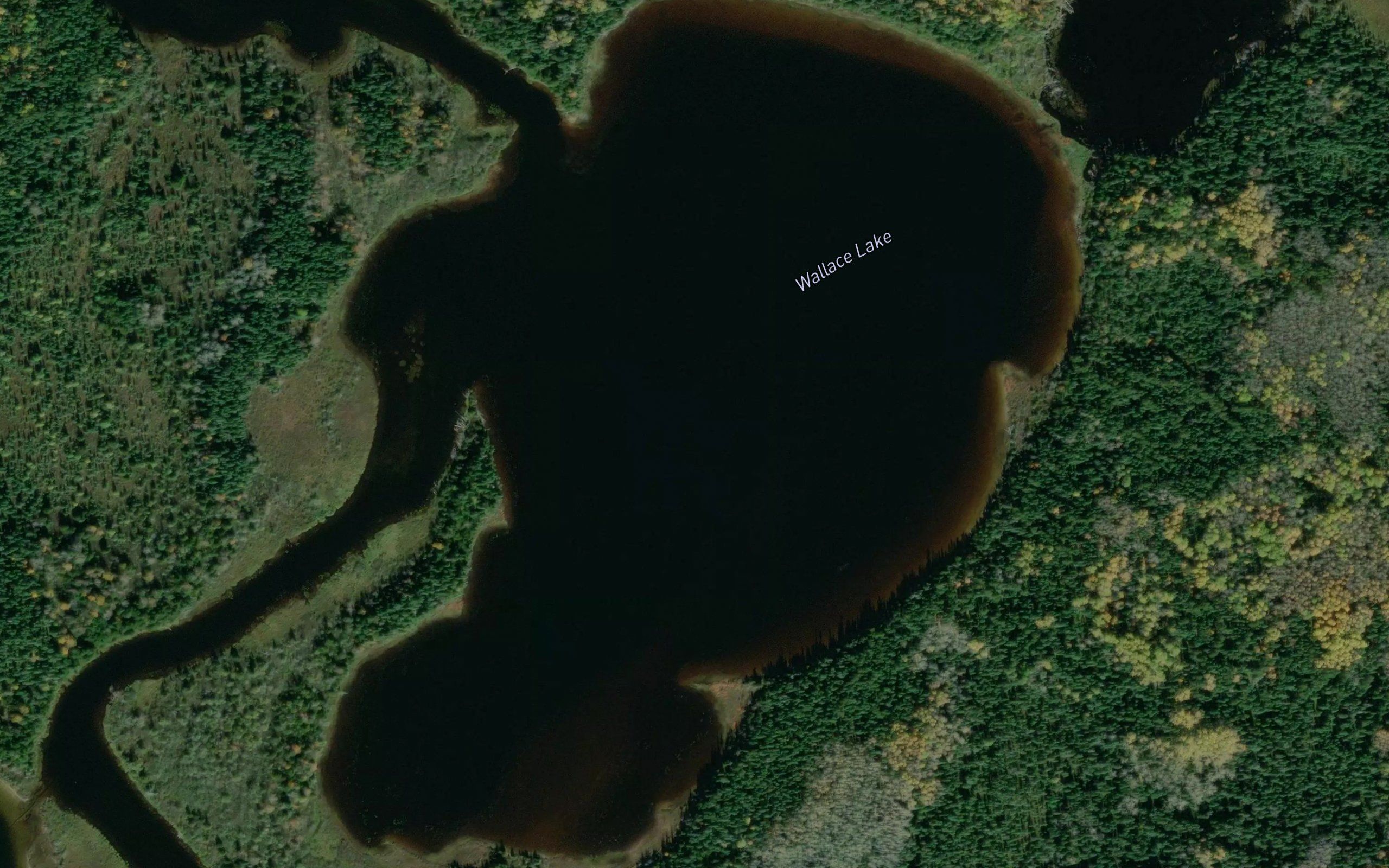 Wallace Lake