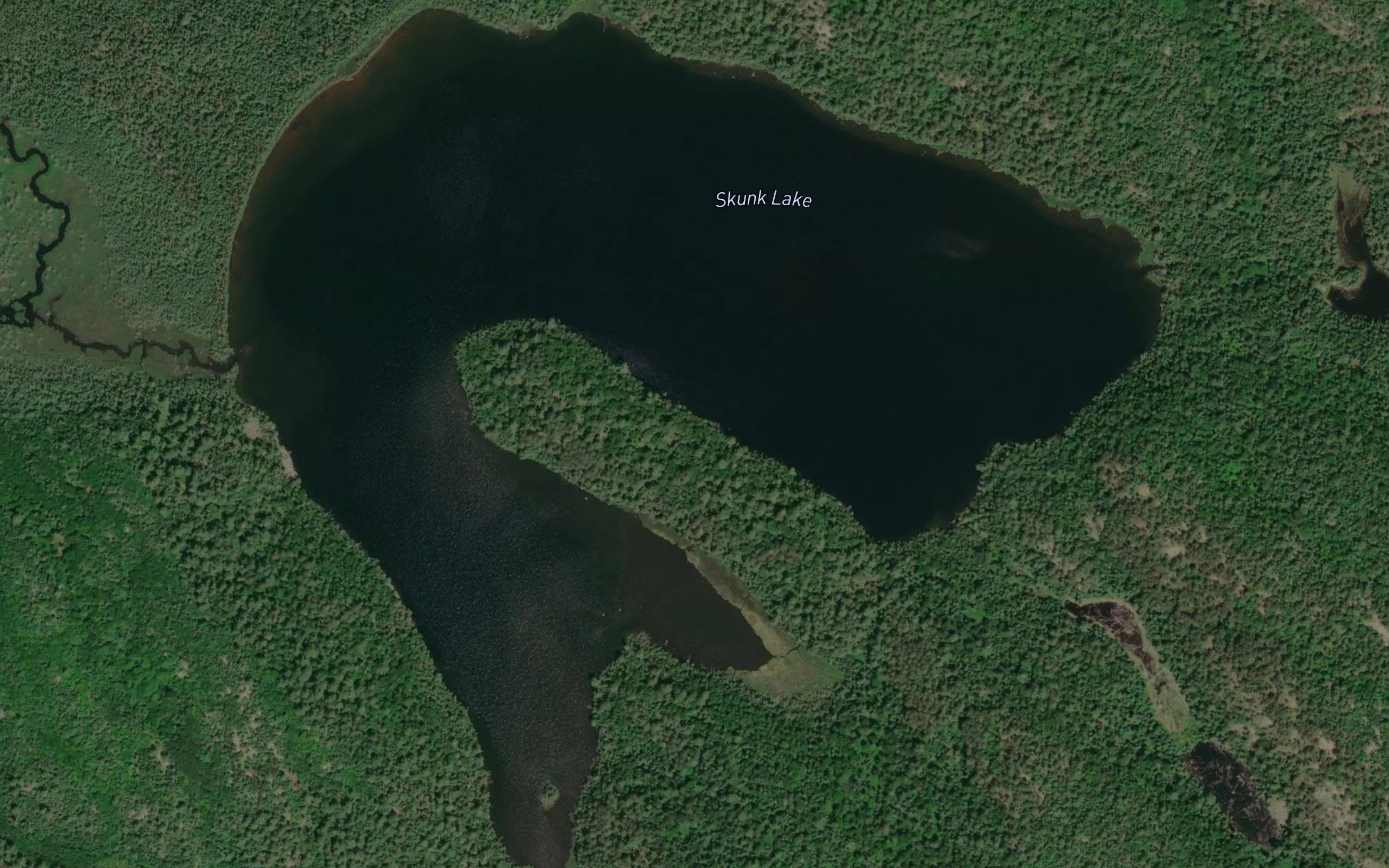 Skunk Lake