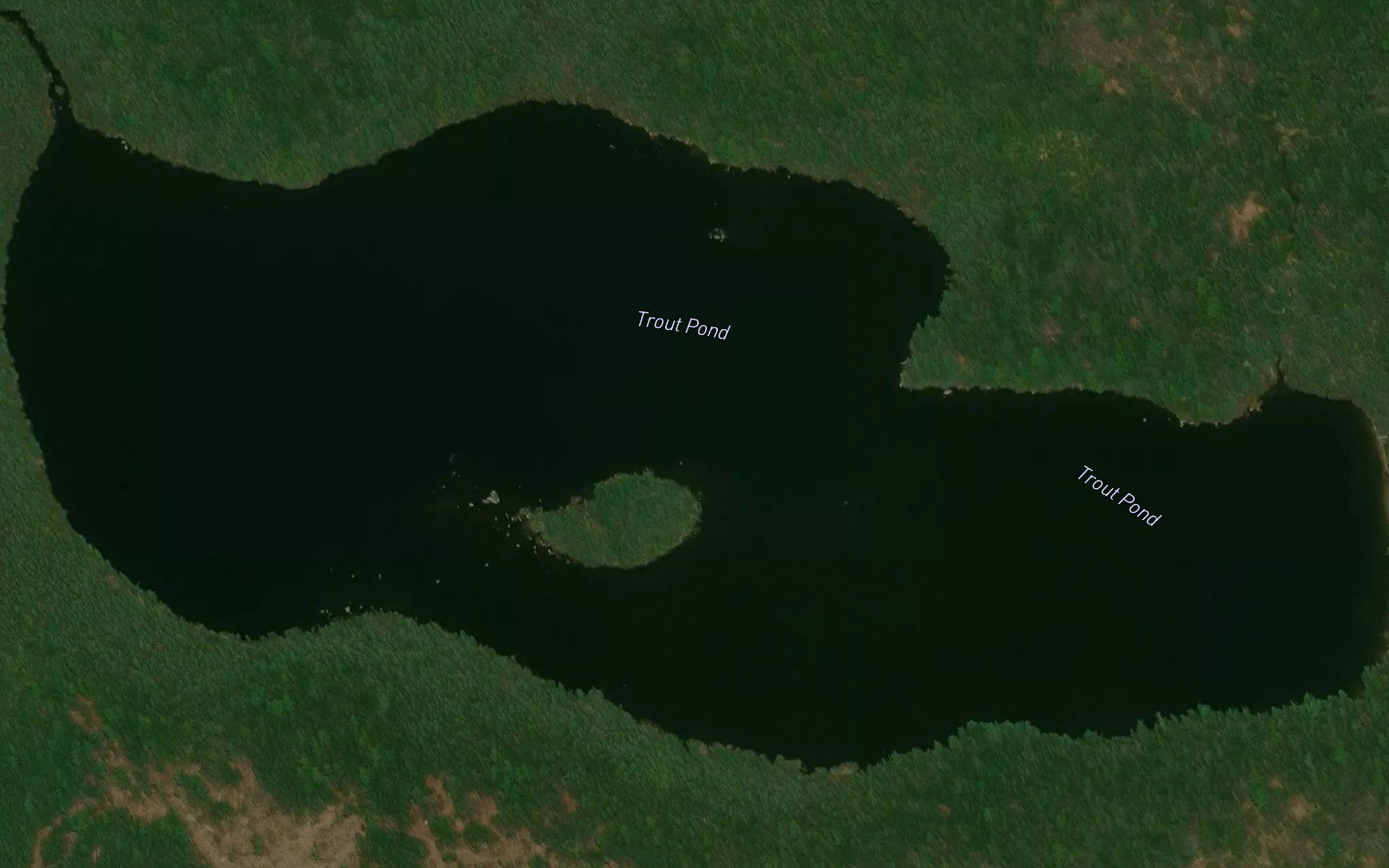 Trout Pond