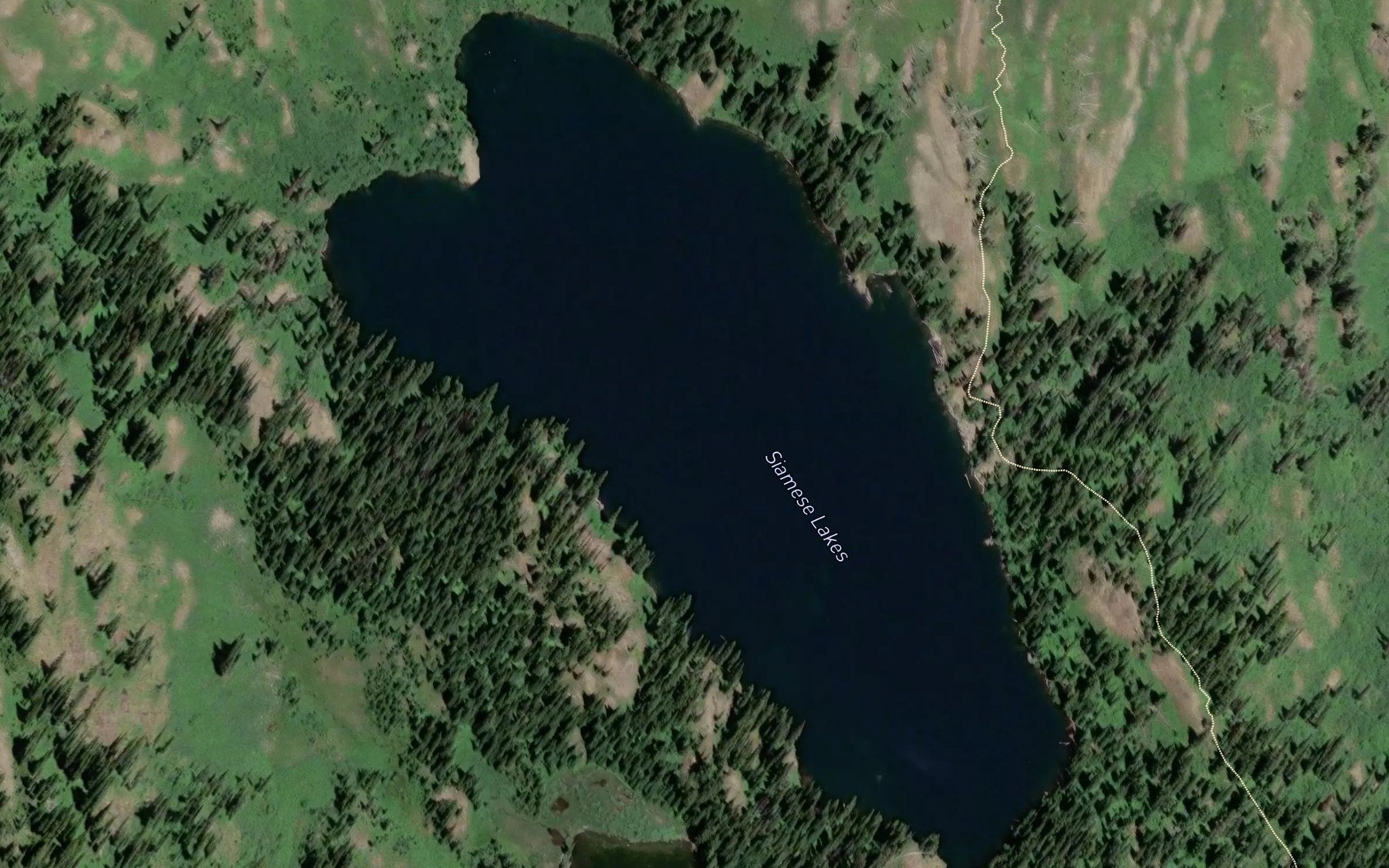 Satellite map of the Siamese Lakes