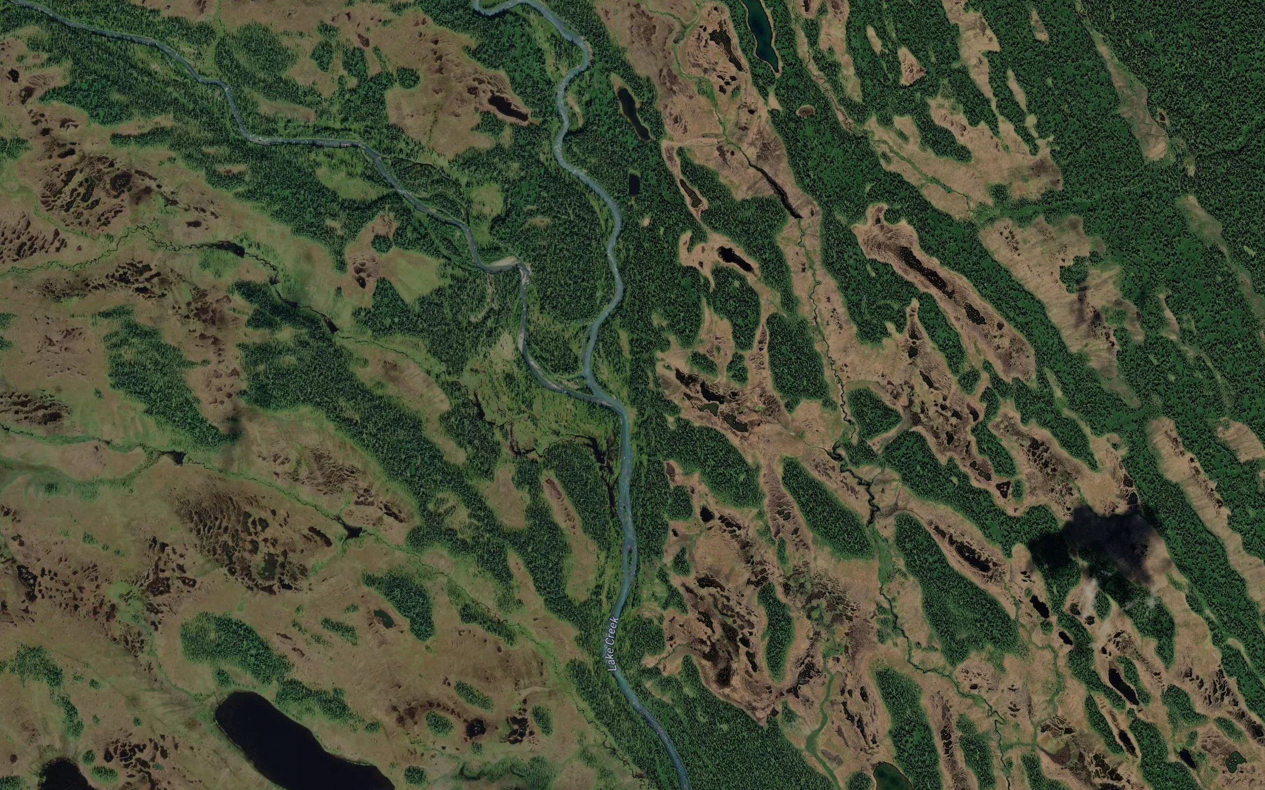 Sunflower Creek