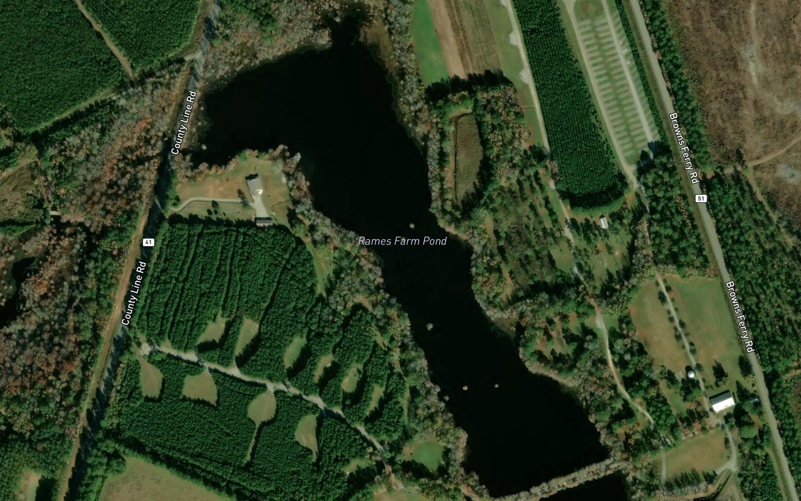 Smith Swamp