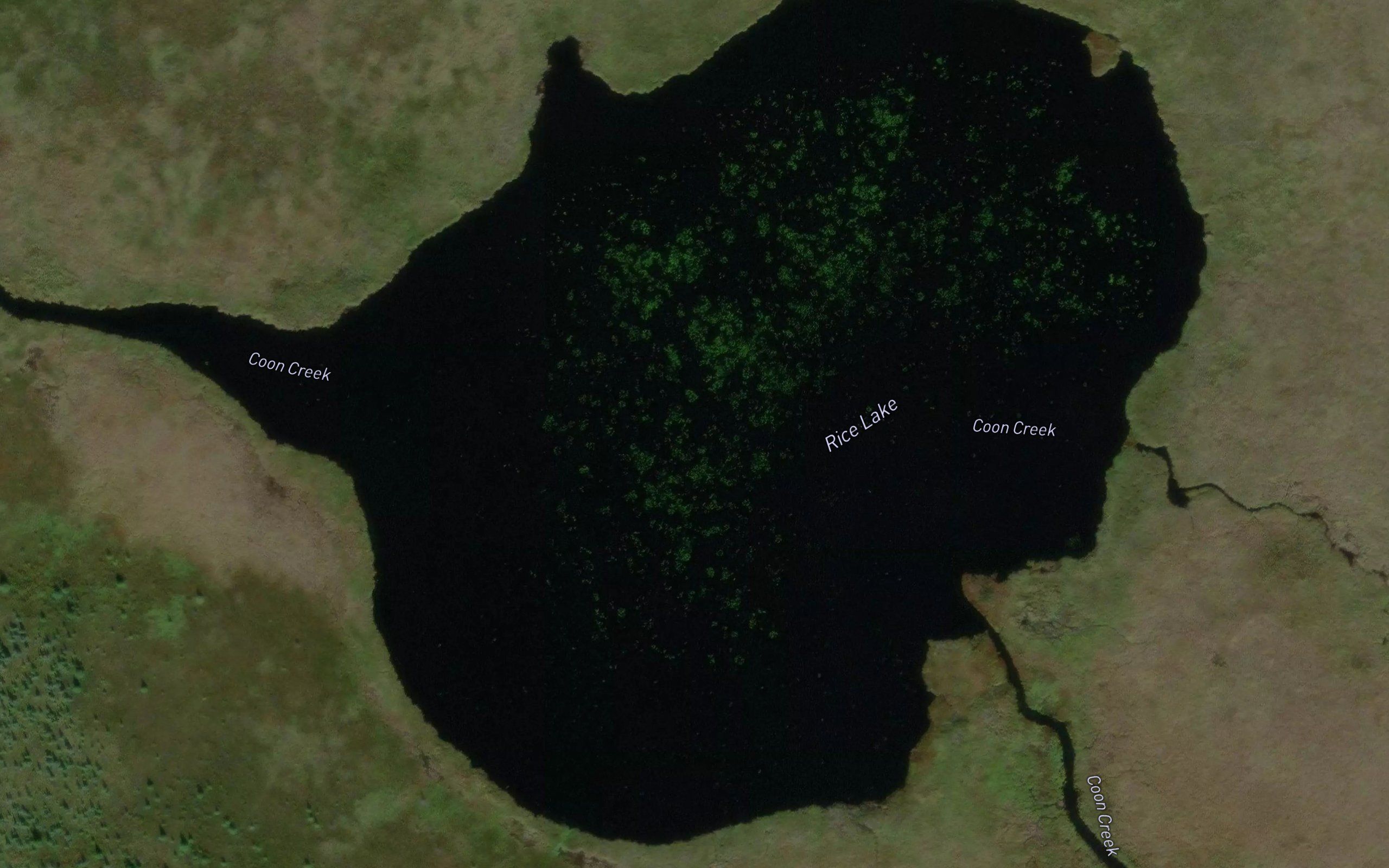 Rice Lake