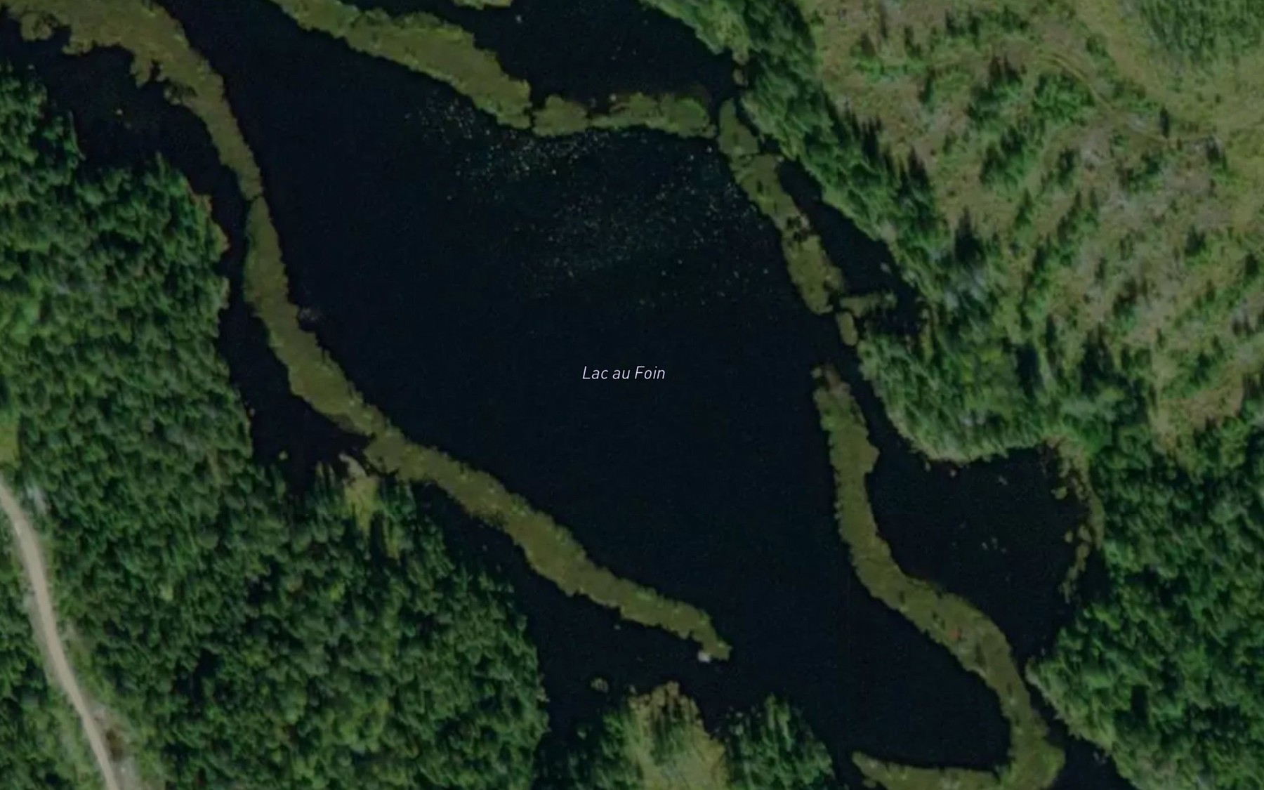 Satellite map of the Lac au Foin