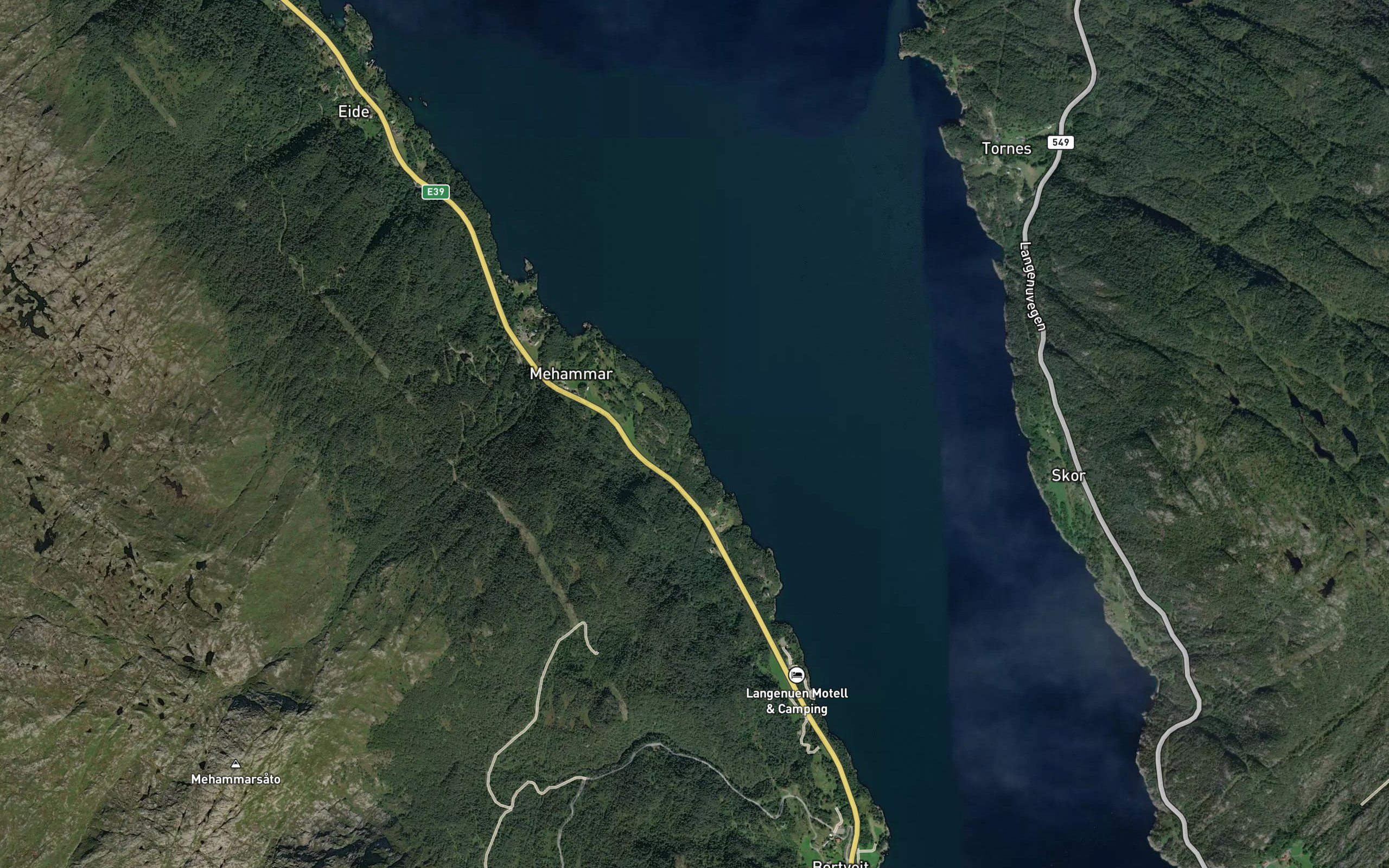 Klubbavika