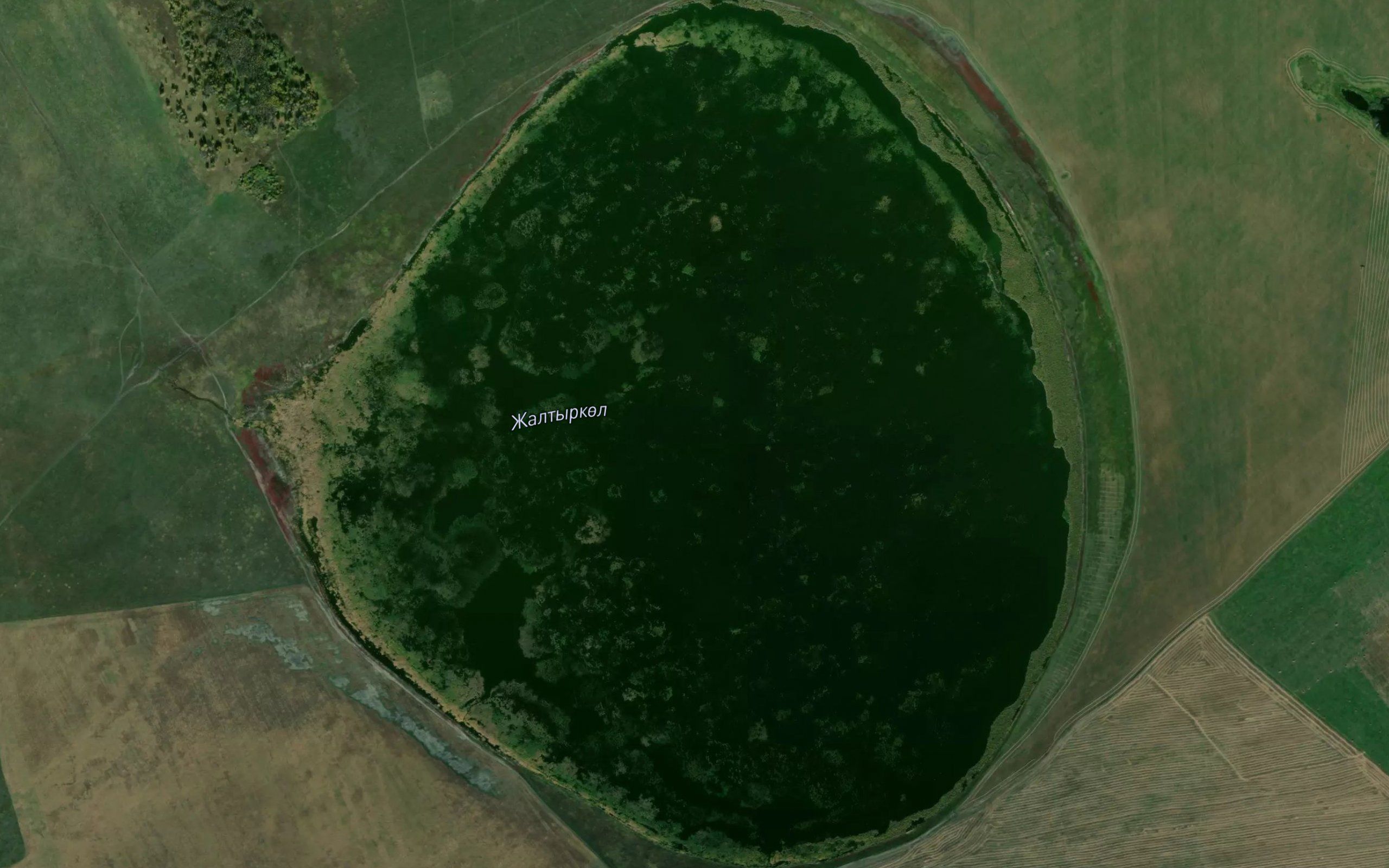 Ozero Zhaltyrkol'