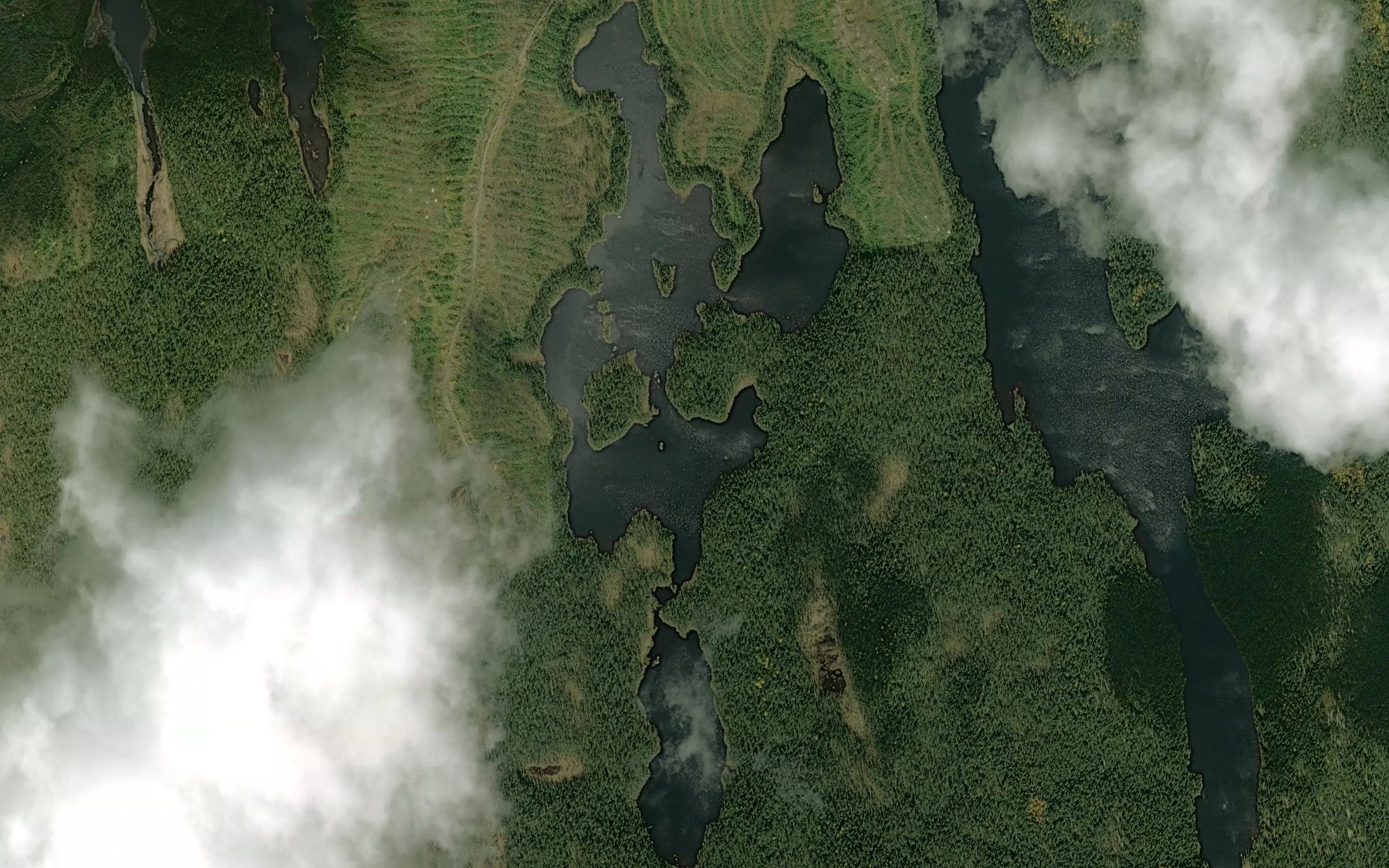 Satellite map of the Petit lac Grenoble