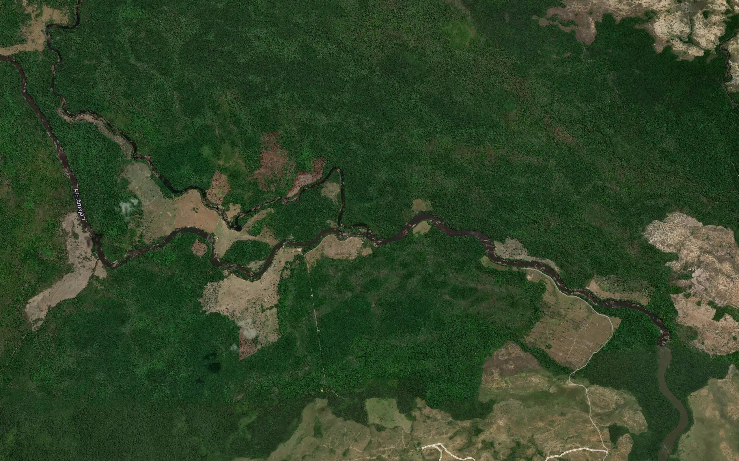 Rio Pacu