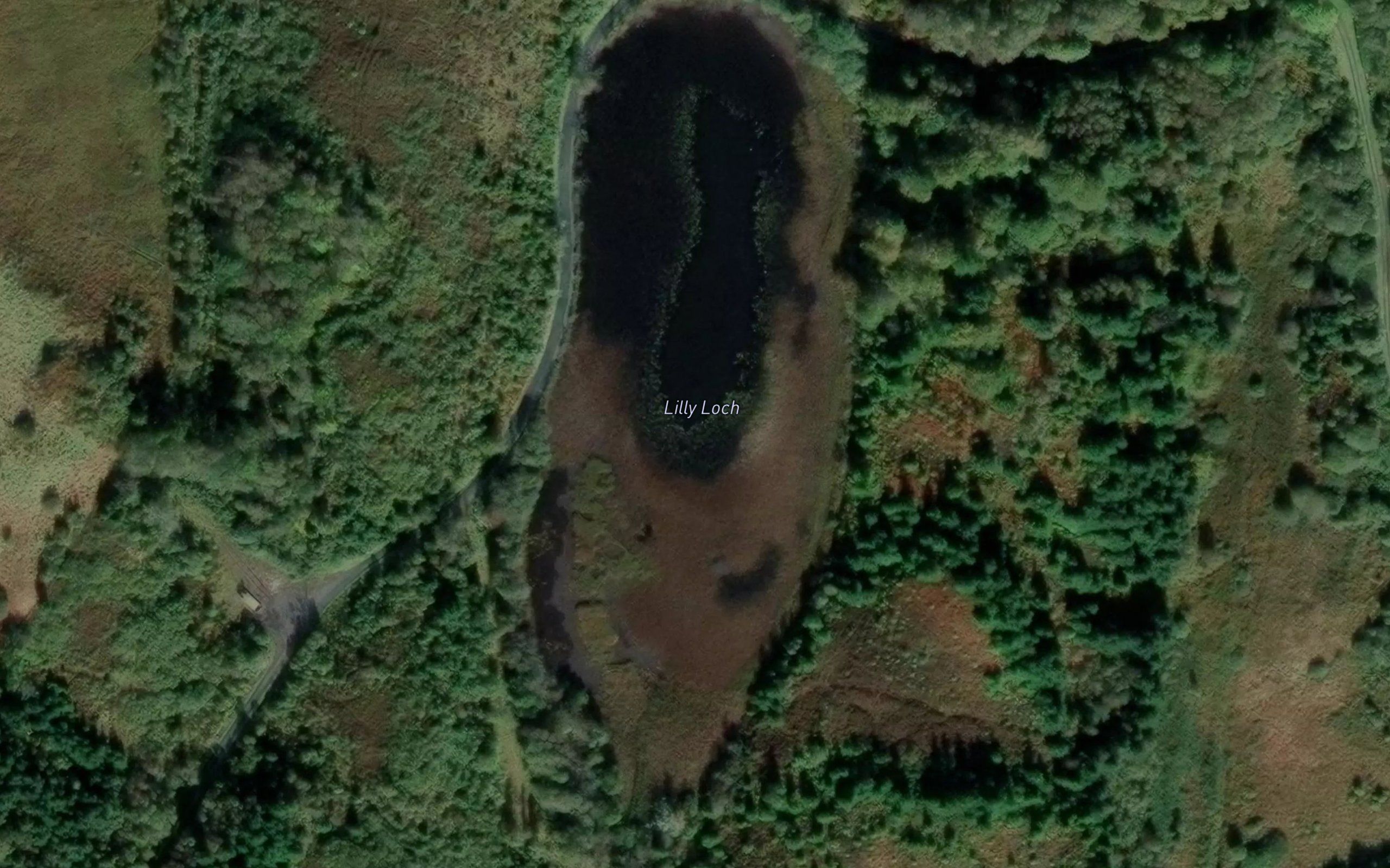 Lily Loch