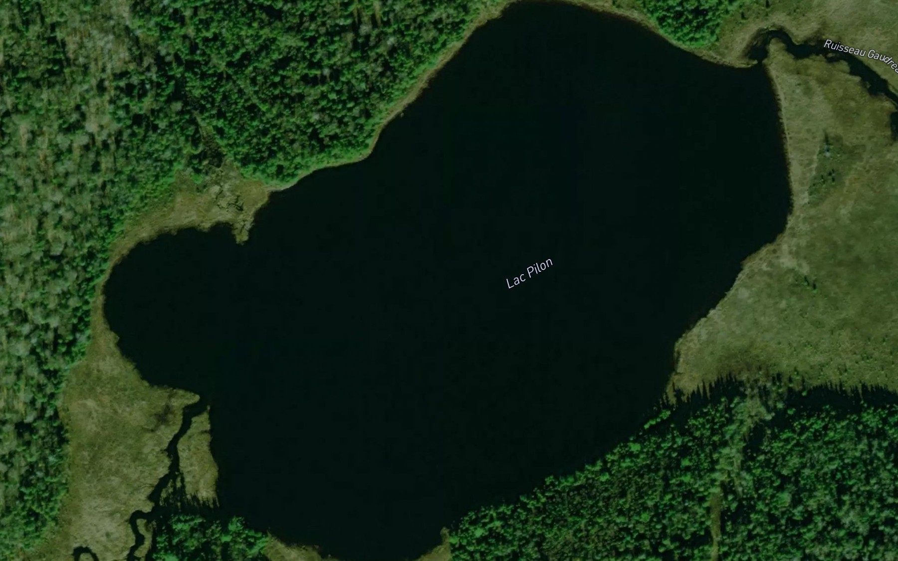 Satellite map of the Lac Pilon