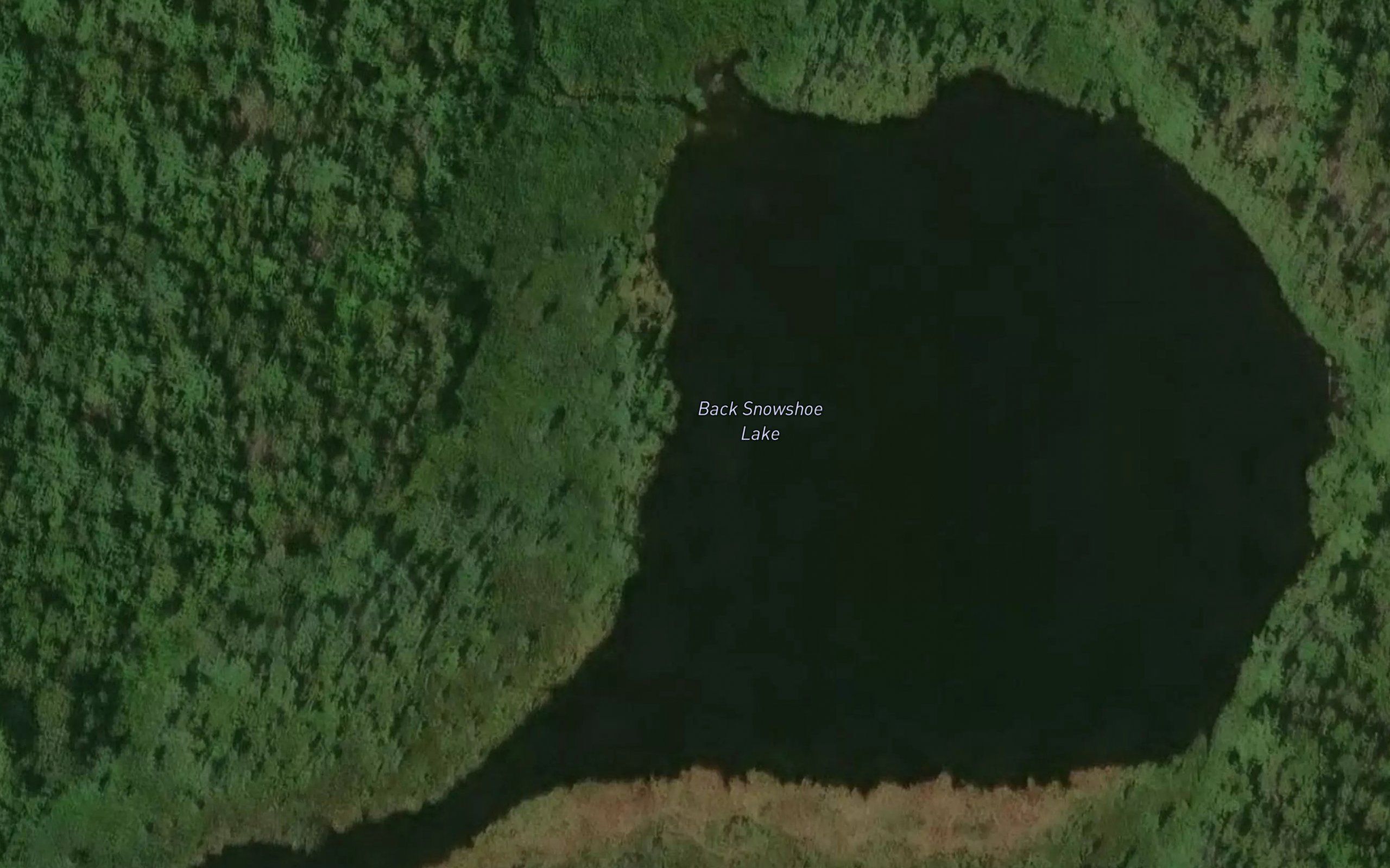 Back Snowshoe Lake