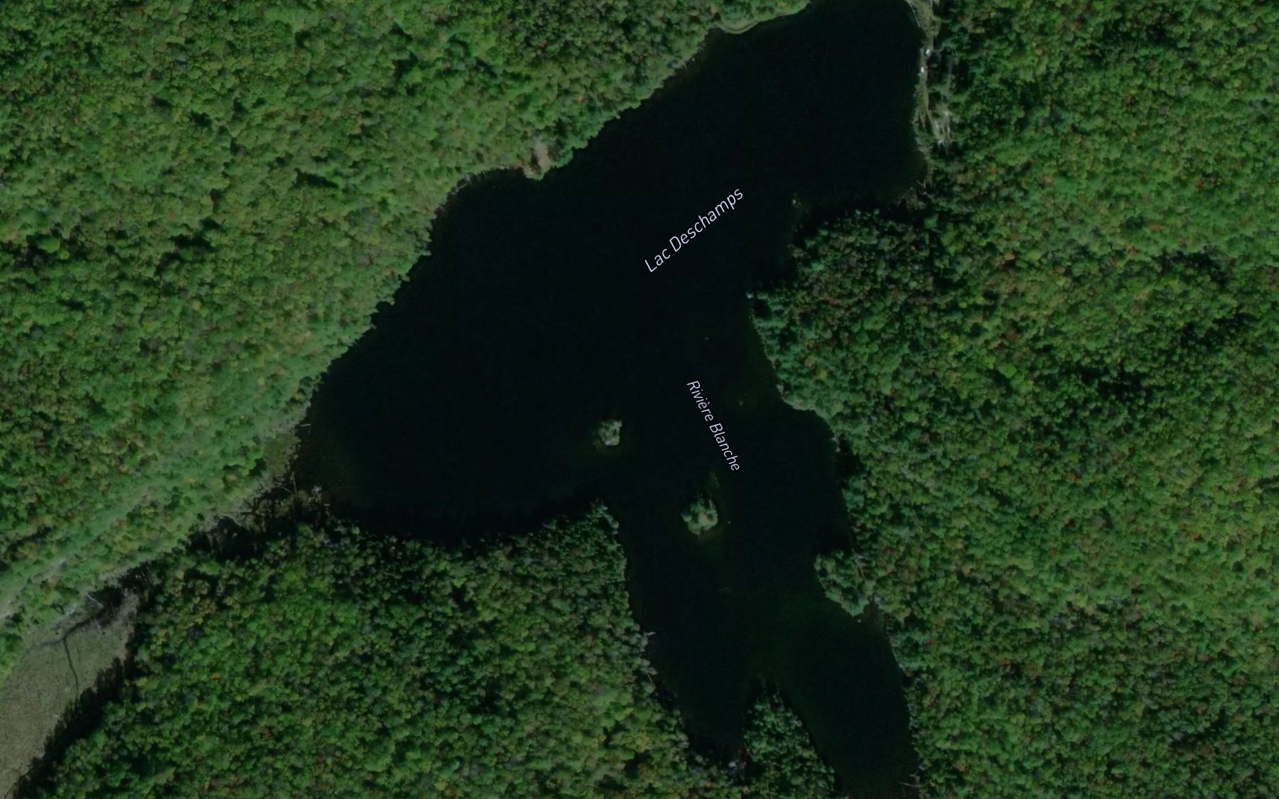 Satellite map of the Lac Deschamps