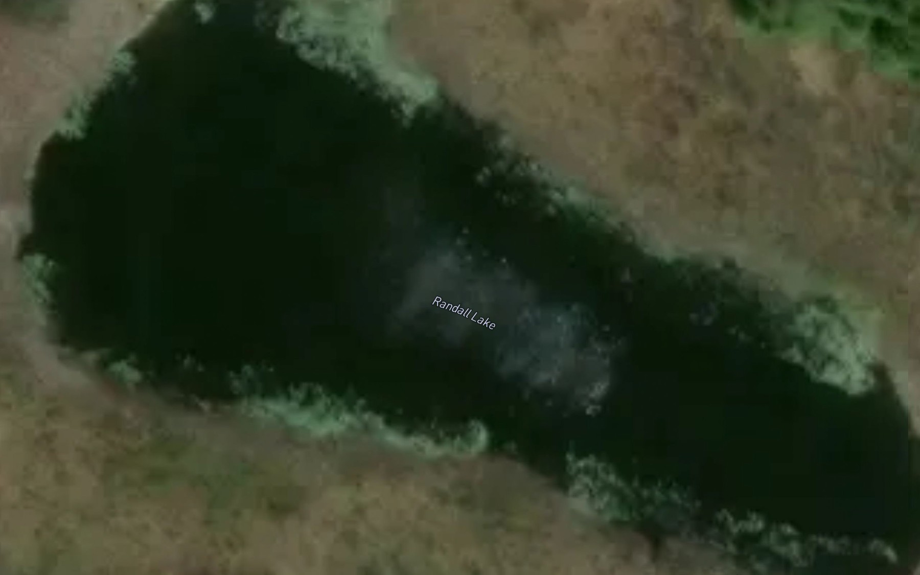 Satellite map of the Randall Lake