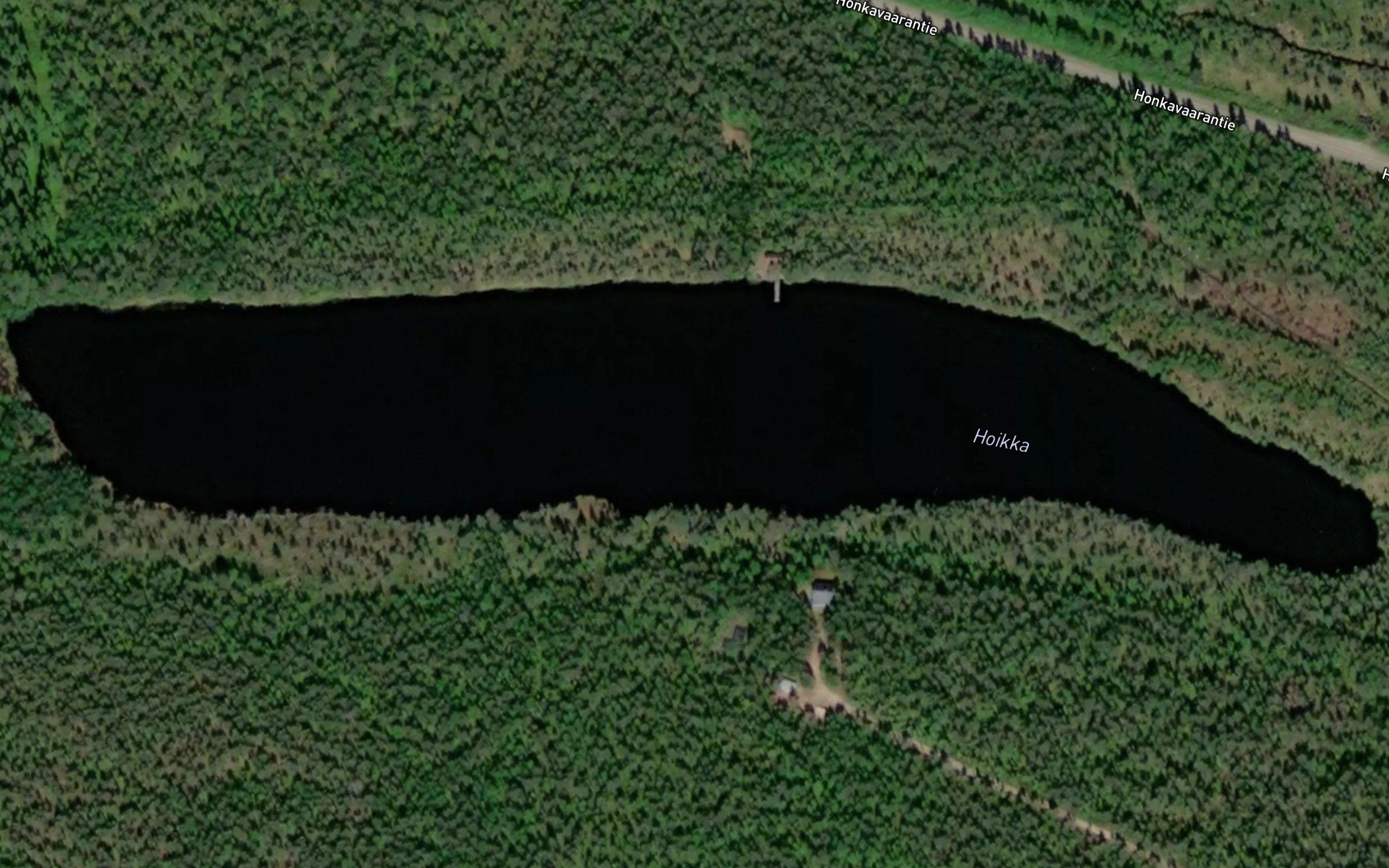 Hoikka