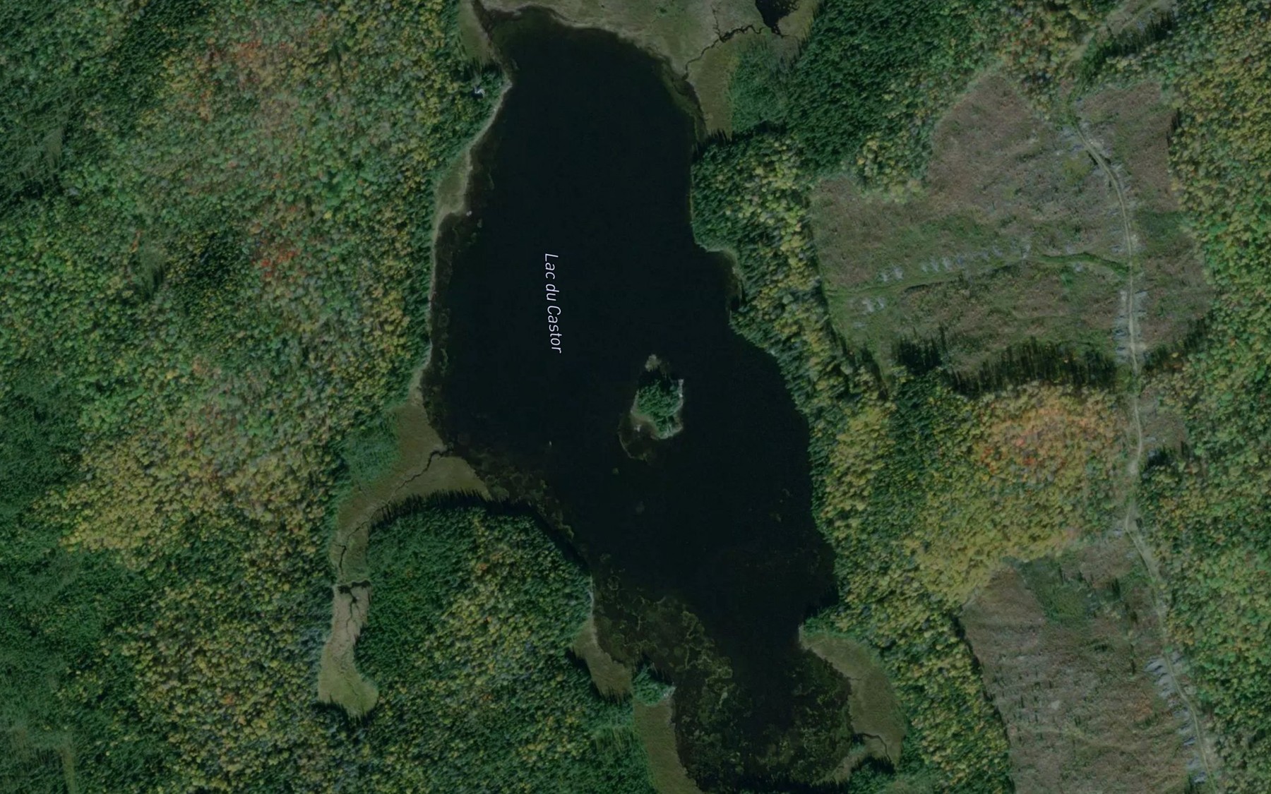 Satellite map of the Lac du Castor