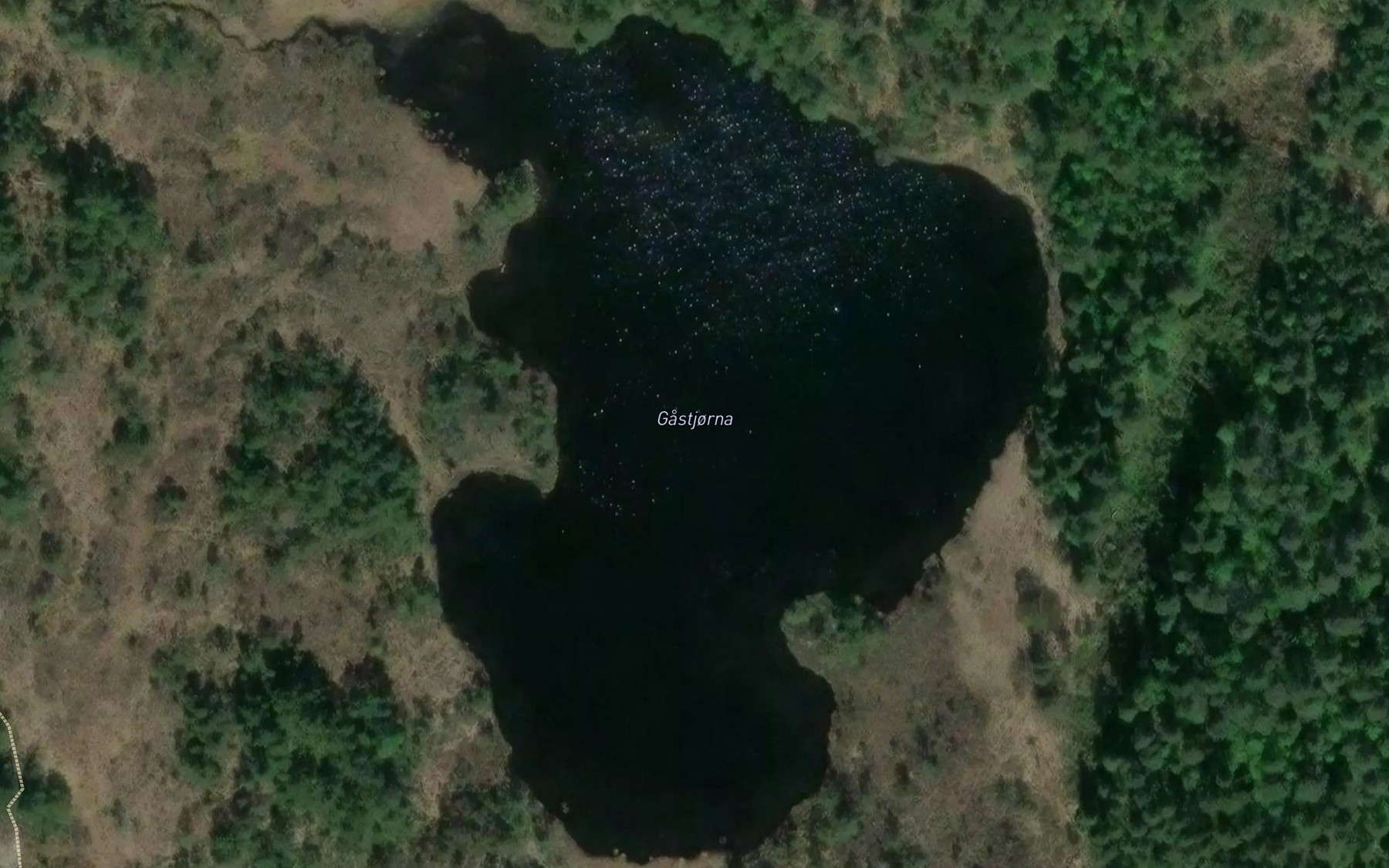 Satellite map of the Gastjorni