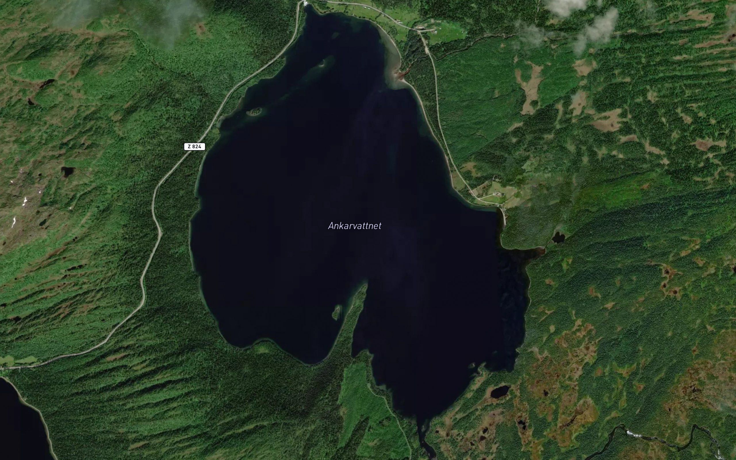 Ankarvattnet