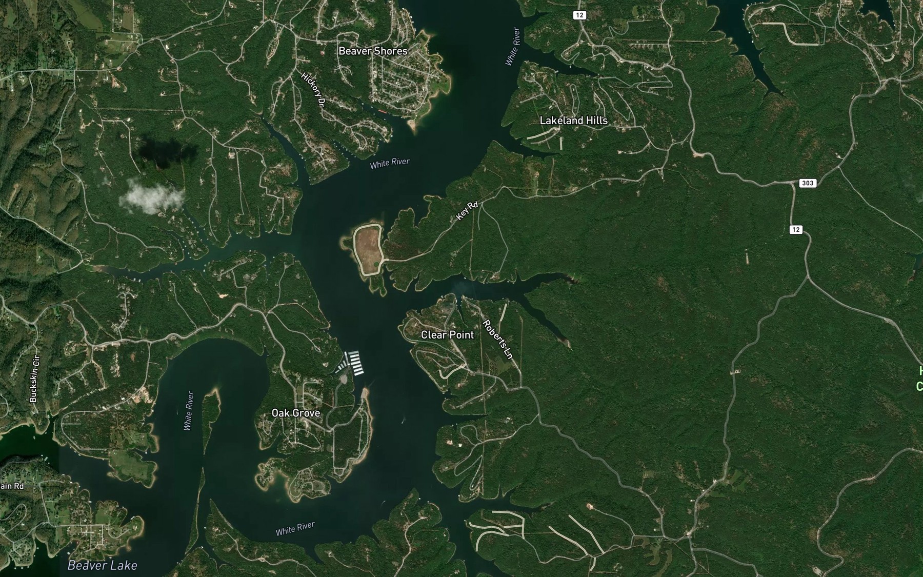 Satellite map of the Blackburn Arm