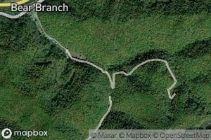 Left Fork Bear Branch