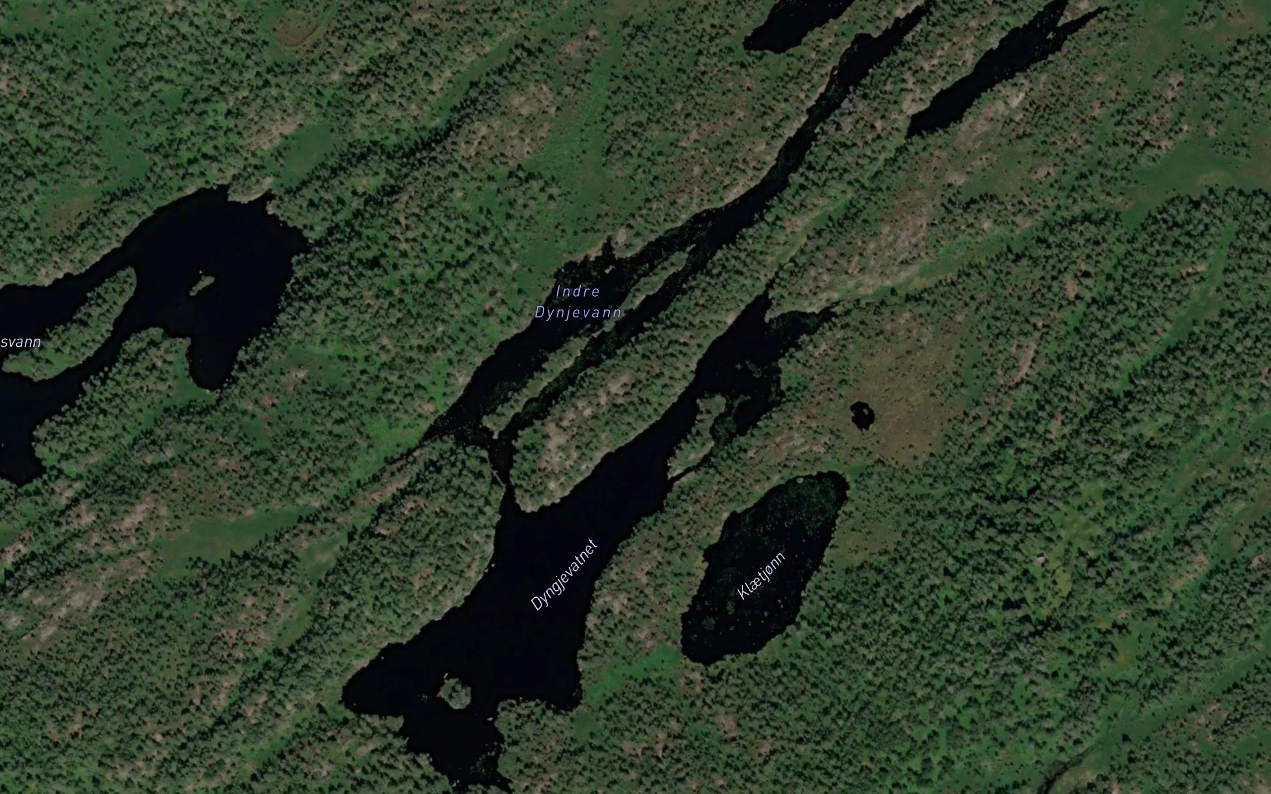 Dyngjevatnet