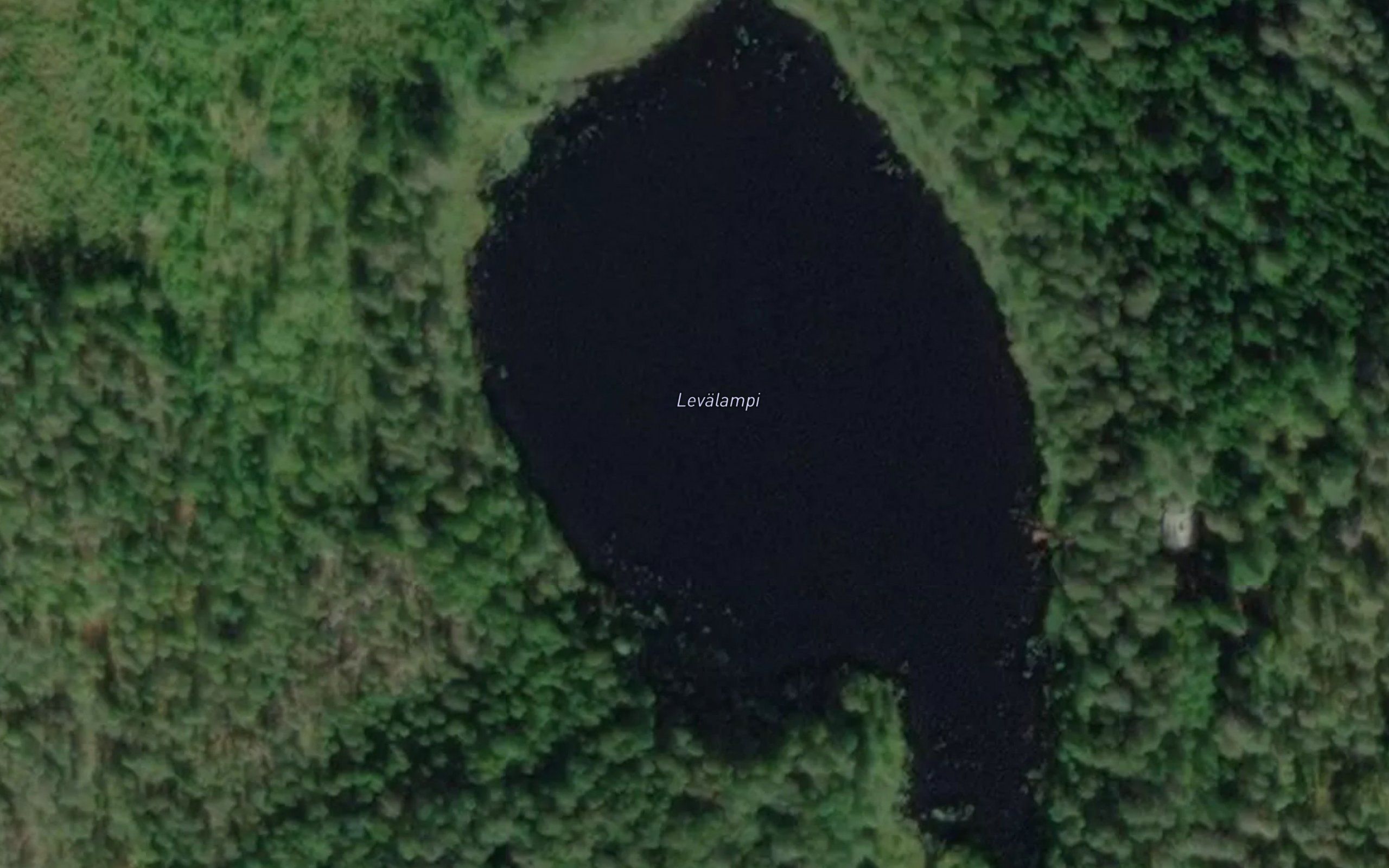 Levalampi