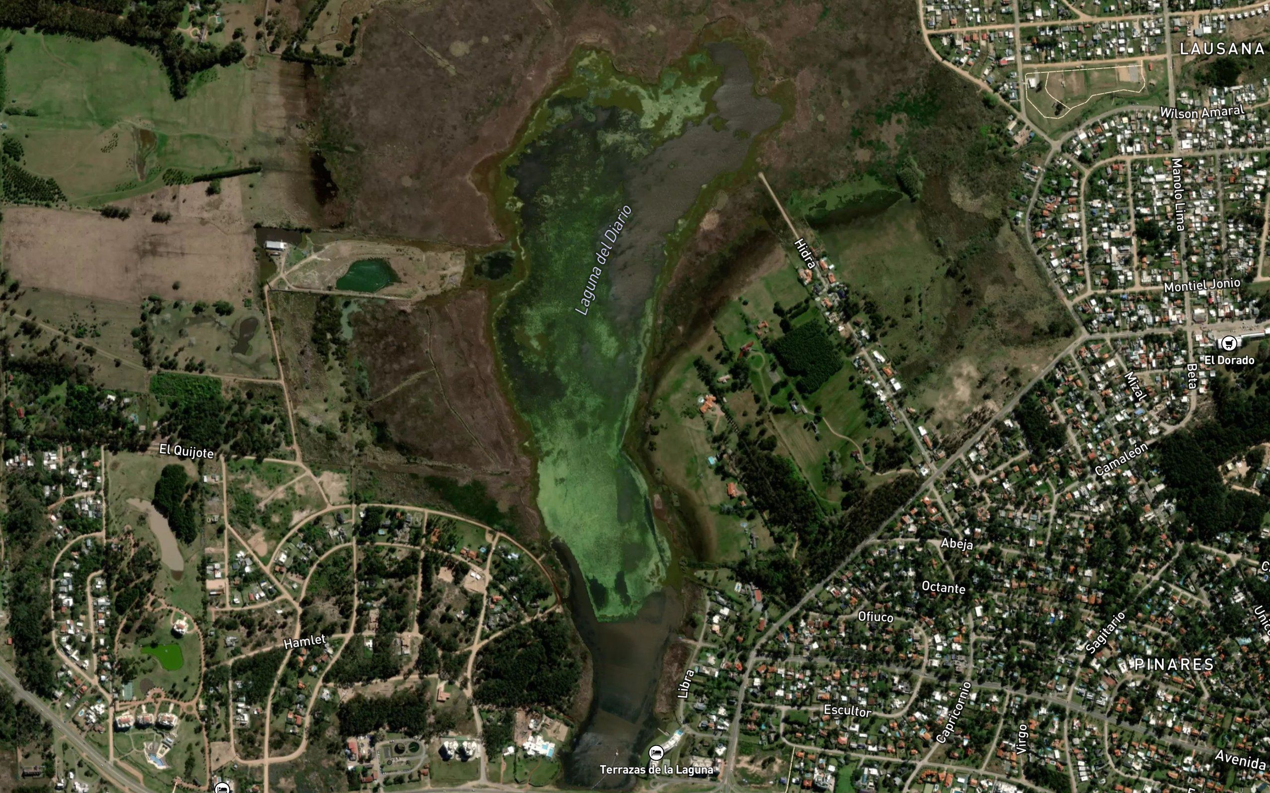 Laguna del Diario