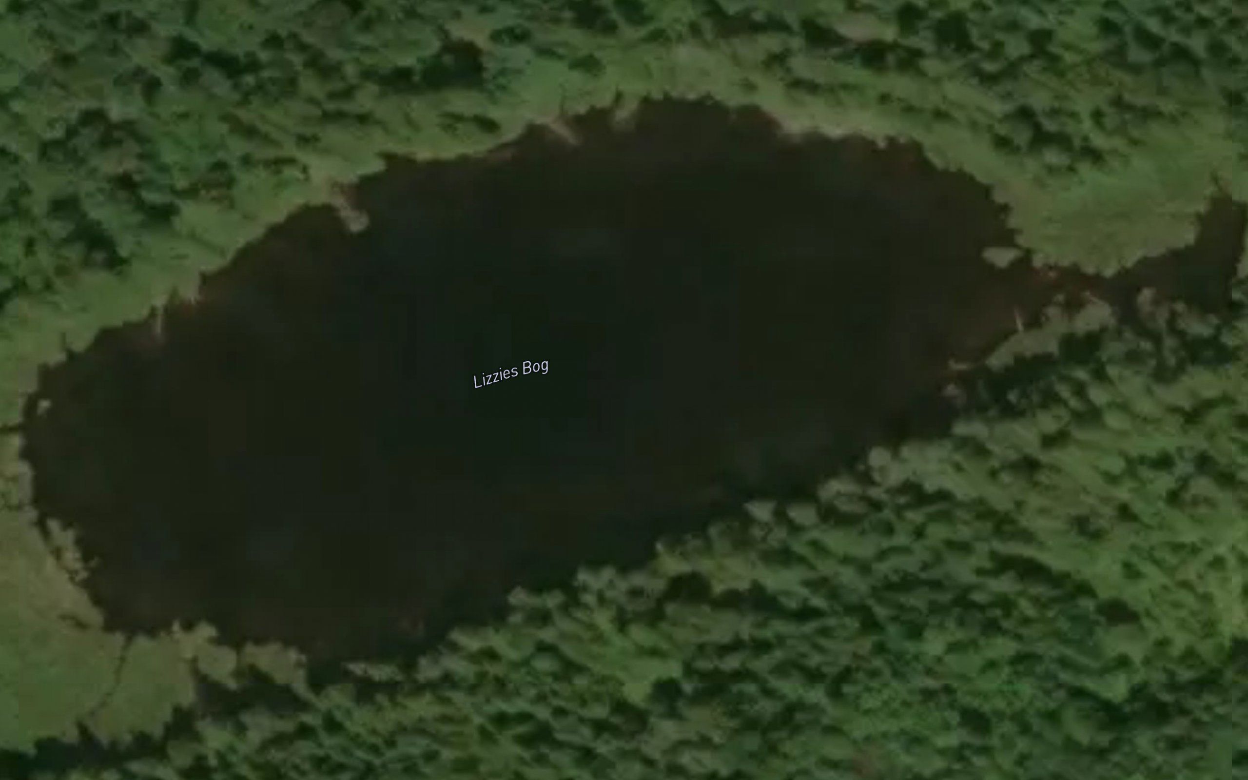 Lizzies Bog