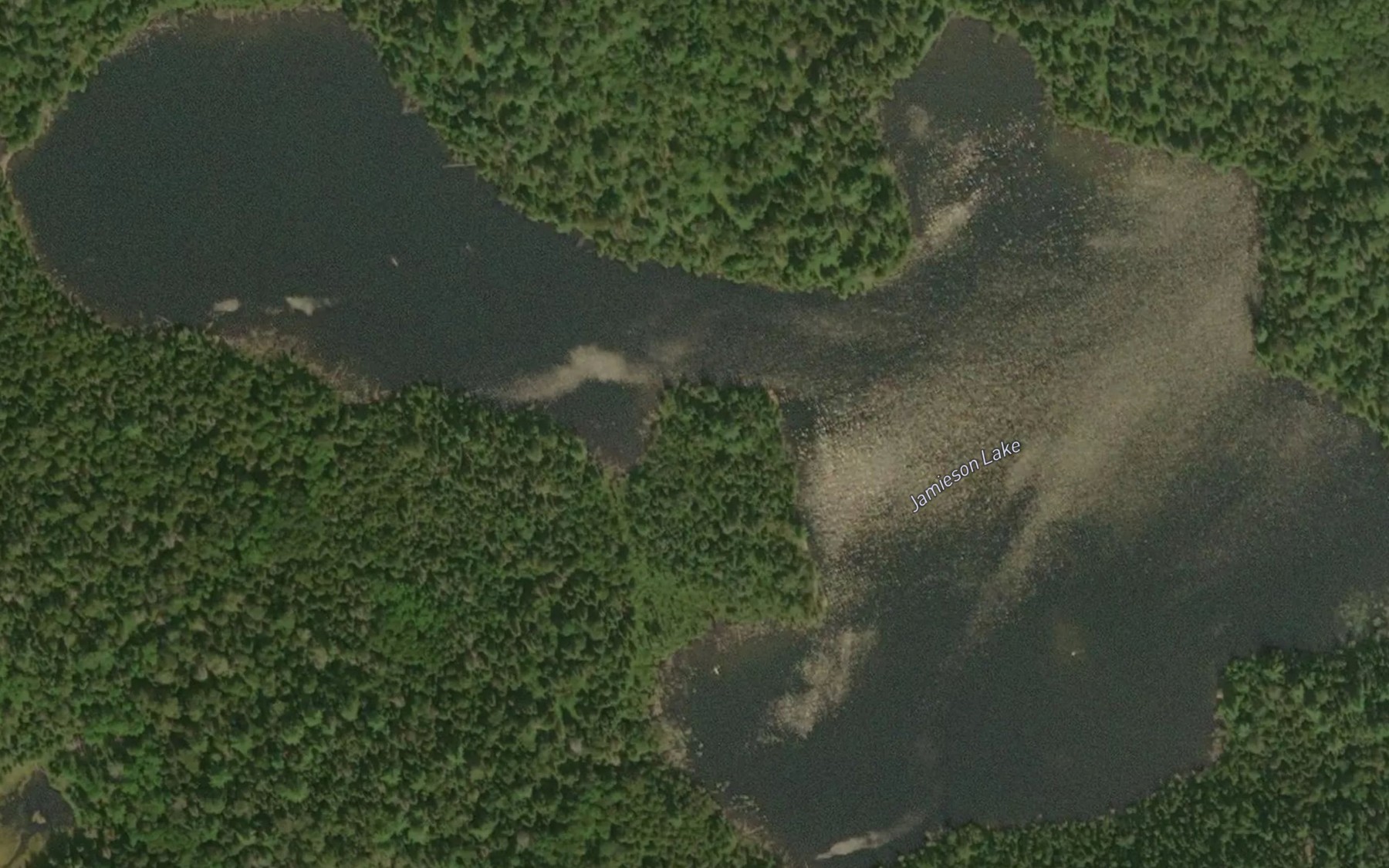Satellite map of the Jamieson Lake