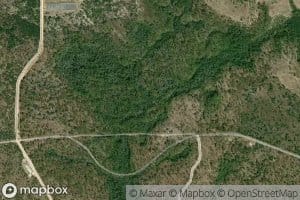 Open Branch