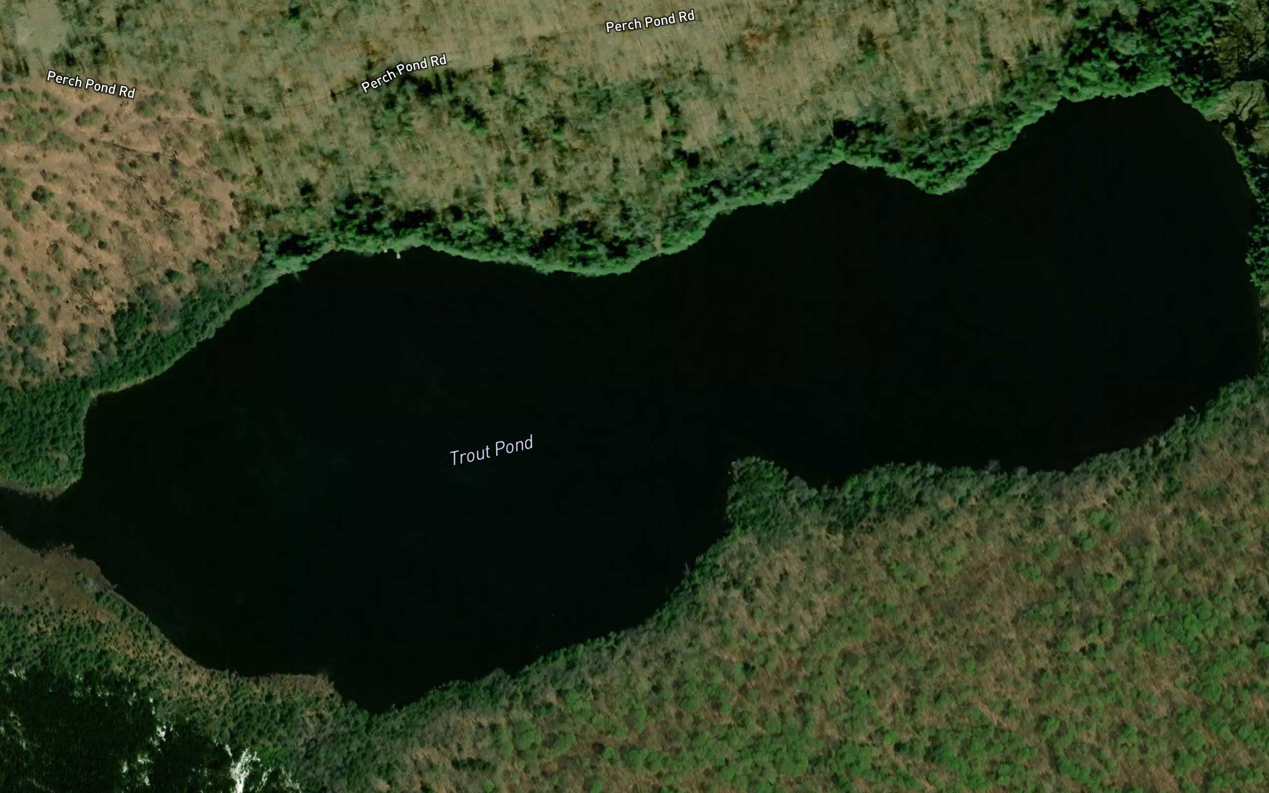 Trout Pond